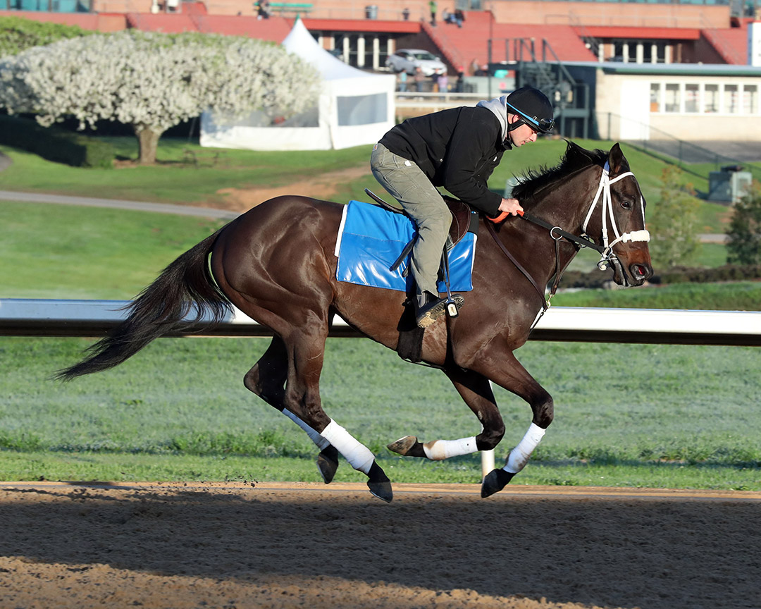 Un Ojo gallops at Oaklawn on April 1