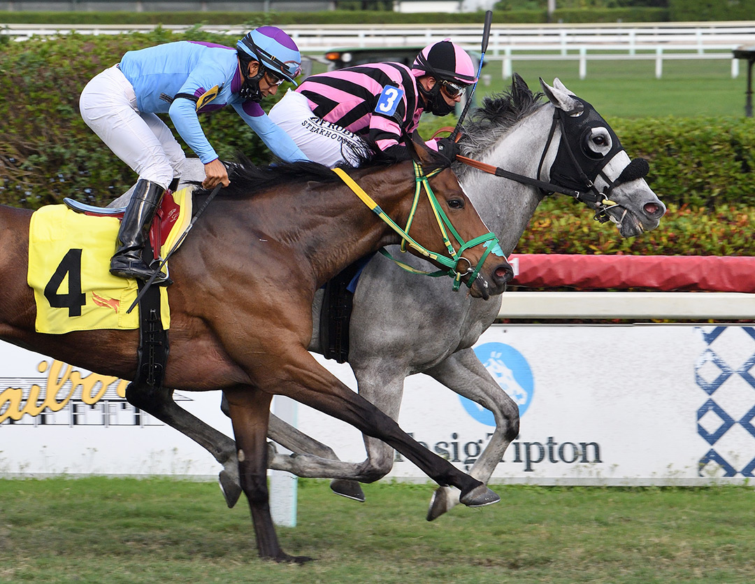Una Luna (inside) wins a Feb. 25 optional claimer at Gulfstream Park