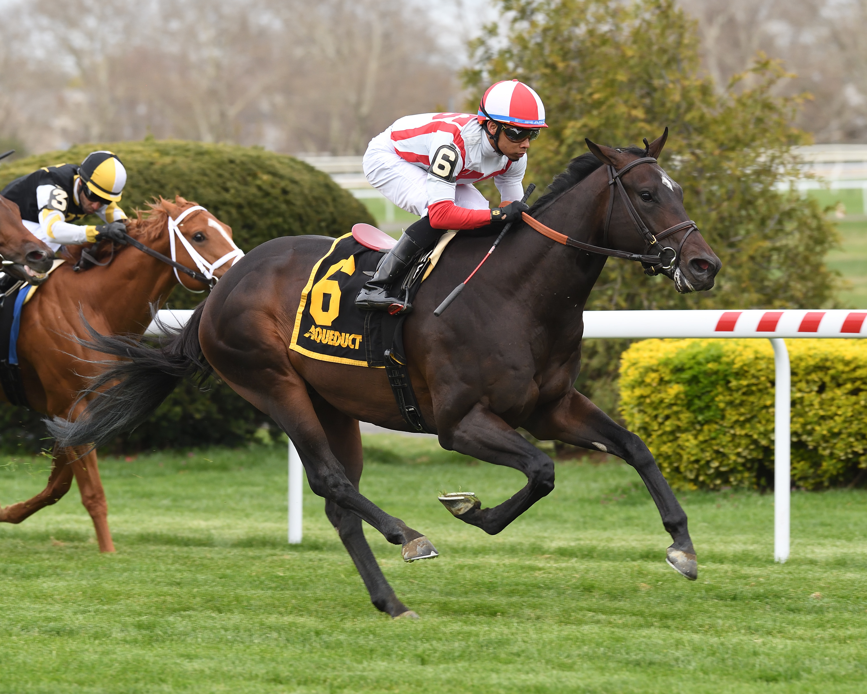 Unanimous Consent wins the Woodhaven Stakes at Aqueduct on April 23 2022