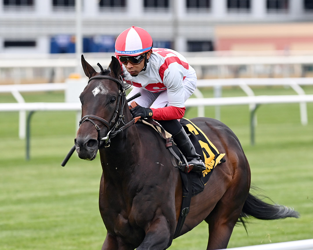 Unanimous Consent wins the 2022 Woodhaven Stakes at Aqueduct