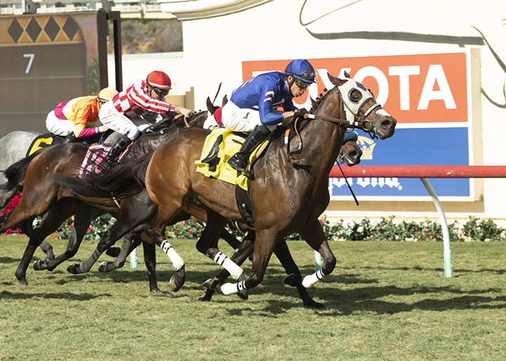 Unapologetic wins a Nov. 22 allowance race at Del Mar