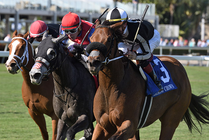 Unaquoi (center) finishes second in the 2019 Claiming Crown Distaff Dash at Gulfstream