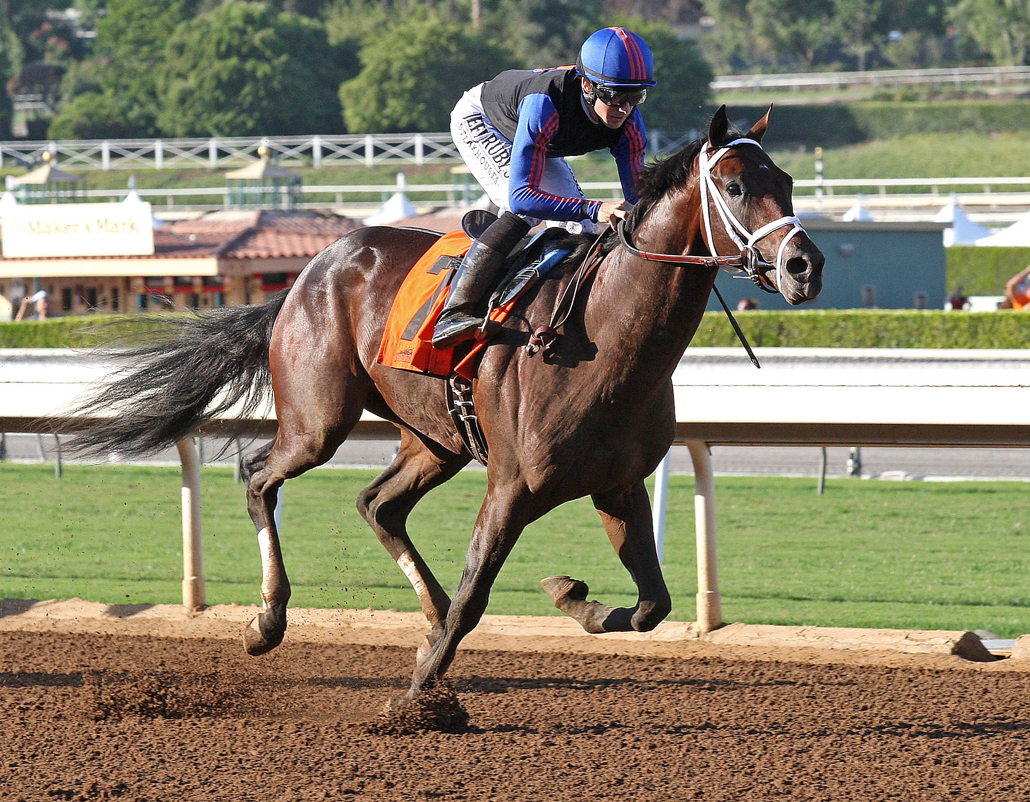 Unblunted wins a maiden race