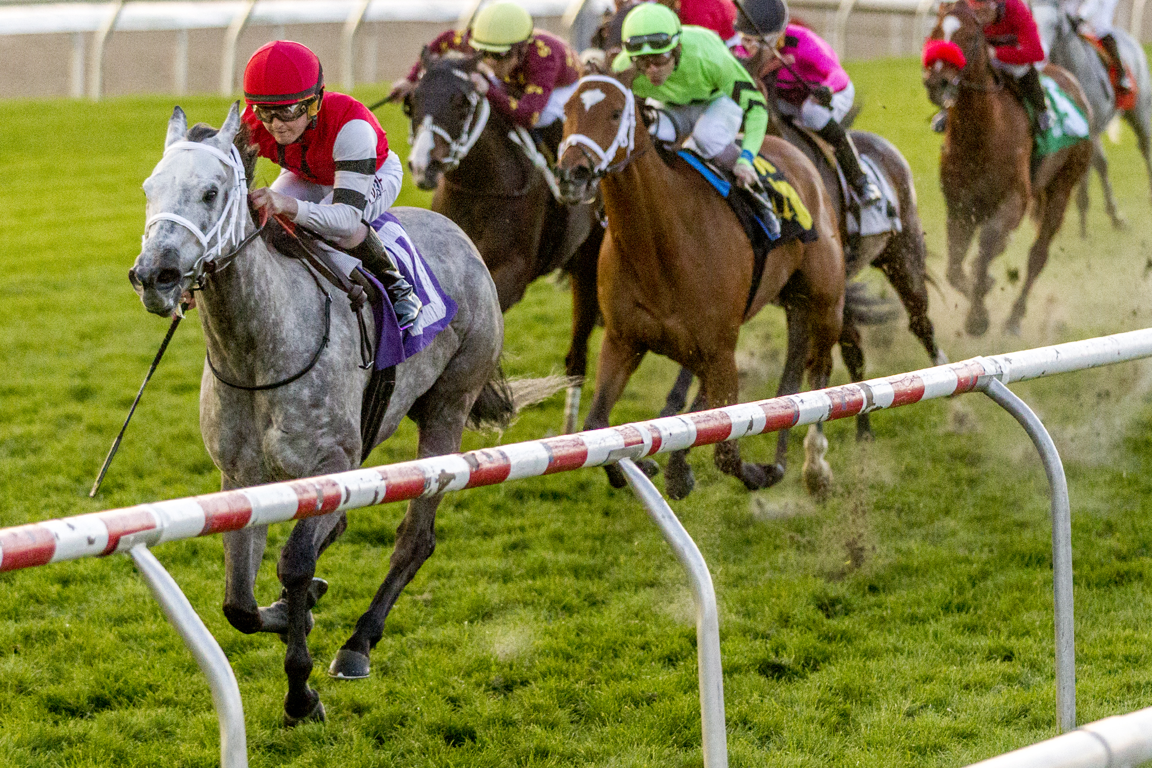 Unbridled Class wins the 2020 Nelson J. Menard Stakes
