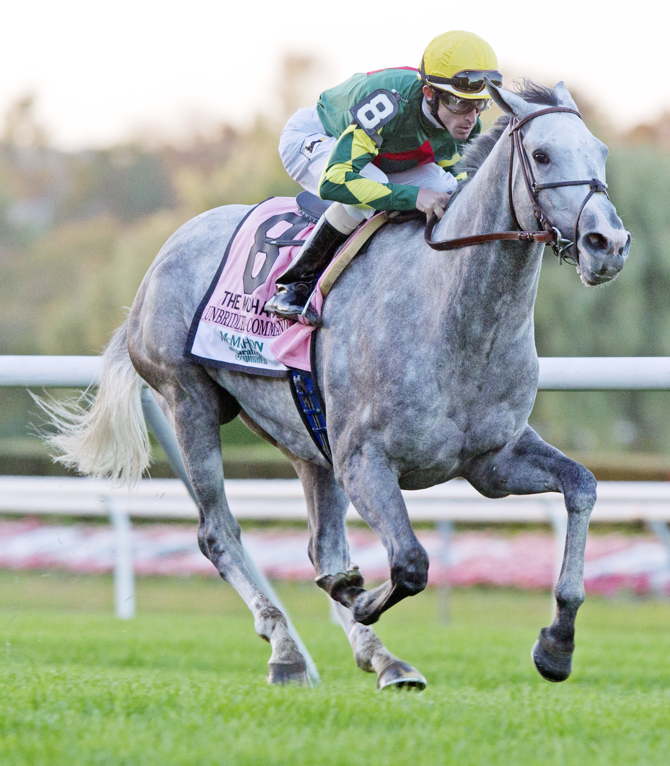 Unbridled Command 10-20-2012