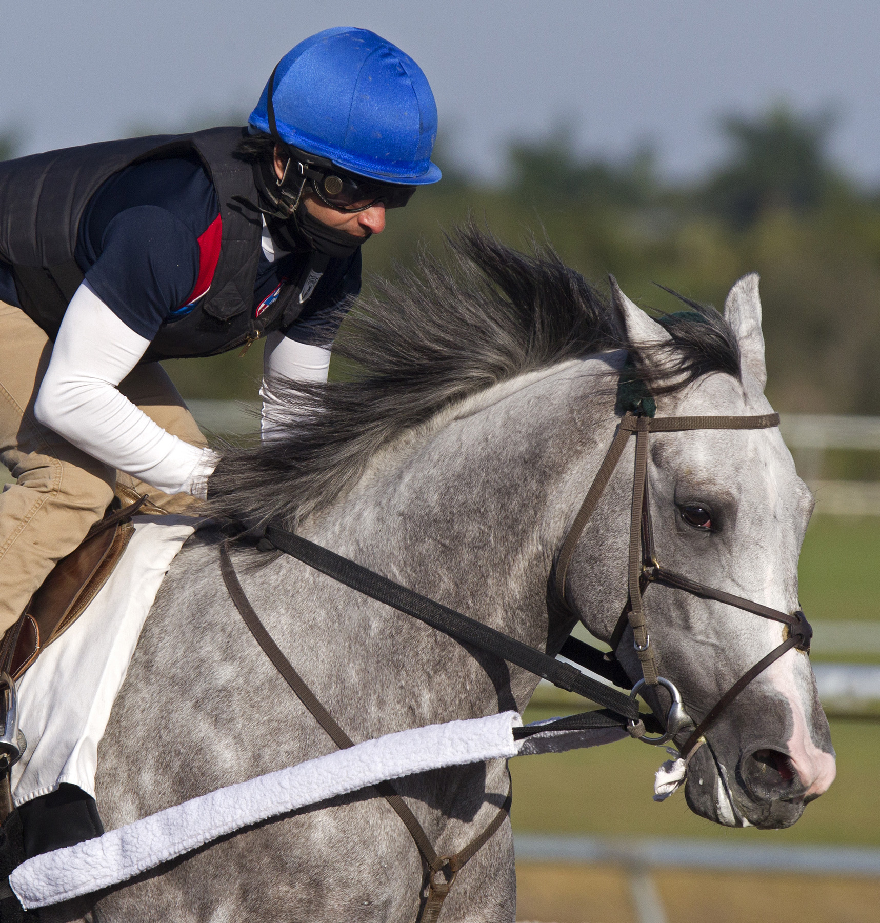 Unbridled Command