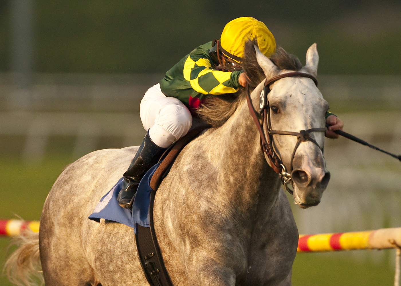 Unbridled Command/Hollywood Derby