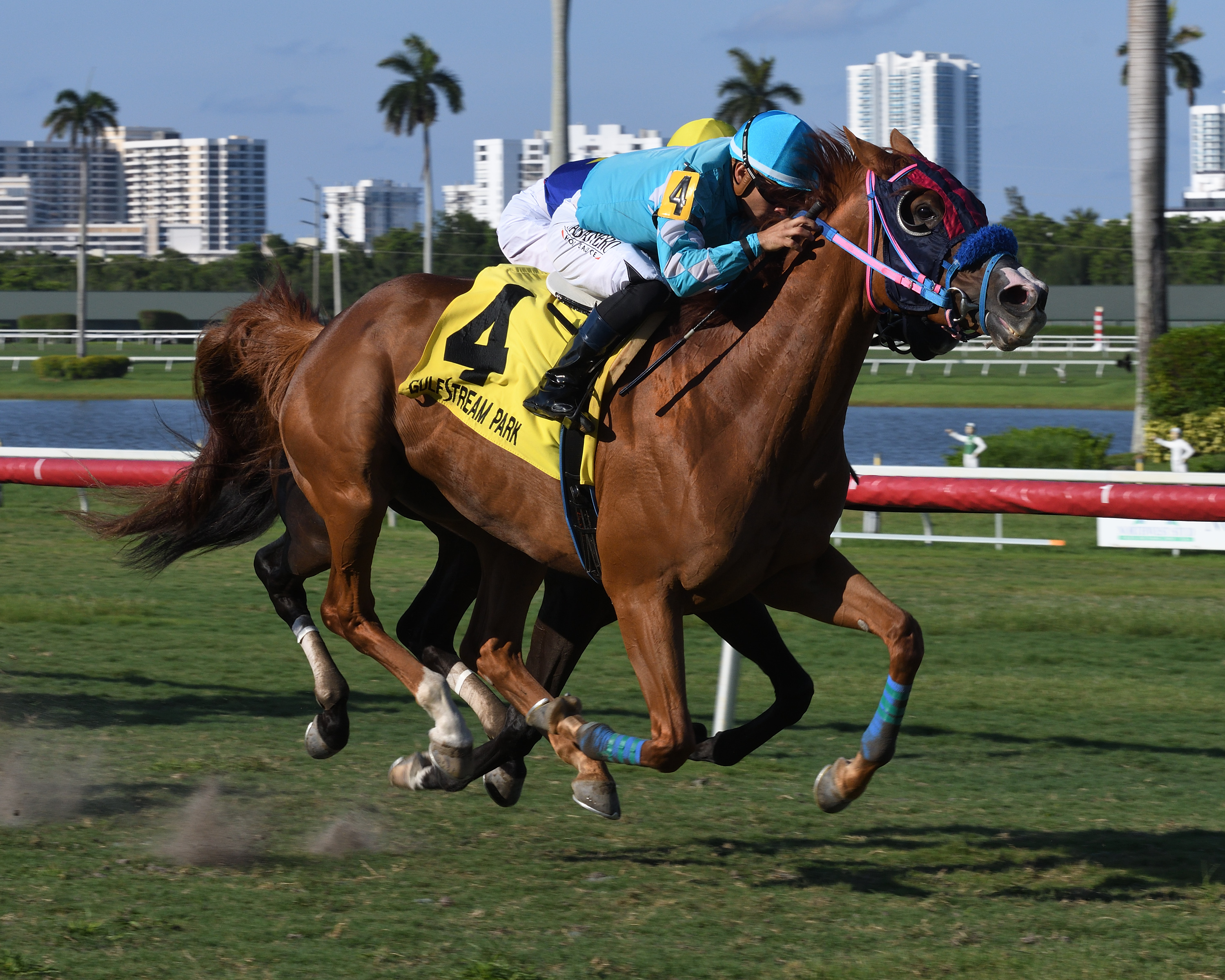 Unbridled Courage wins the 2018 Treasure Coast Stakes