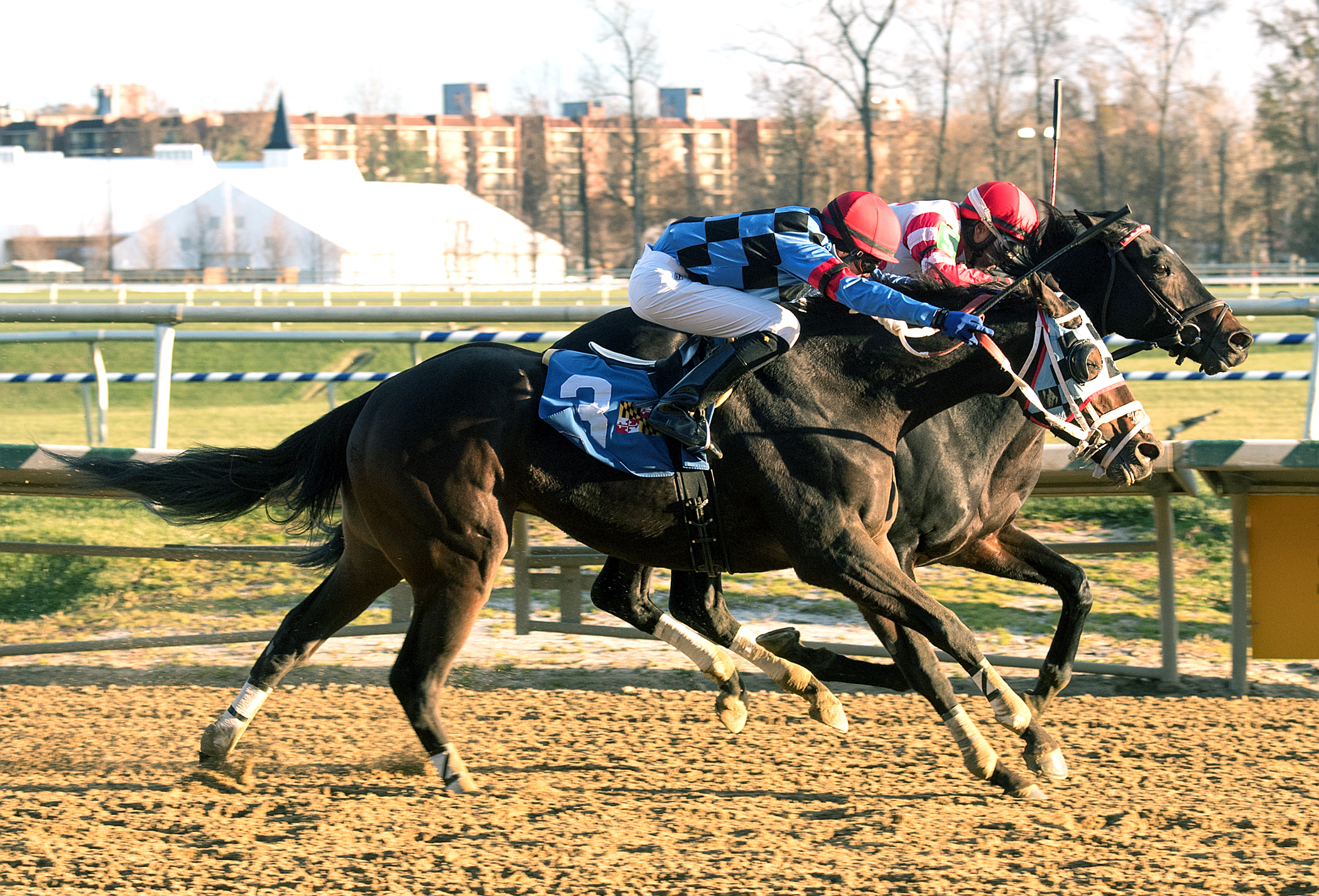 Unbridled Daddy wins a Nov. 17 allowance