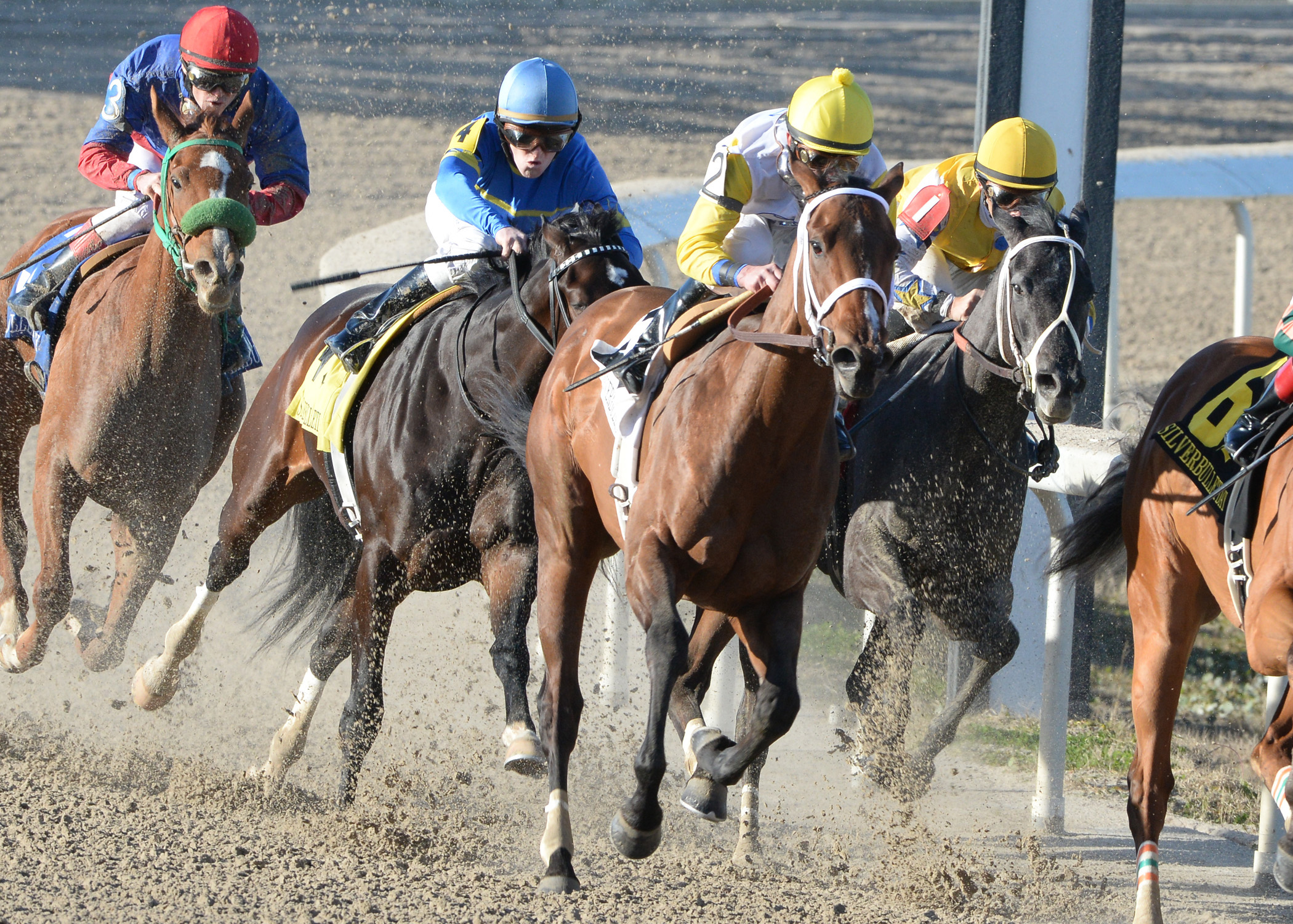 Unbridled Forever wins the Silverbulletday