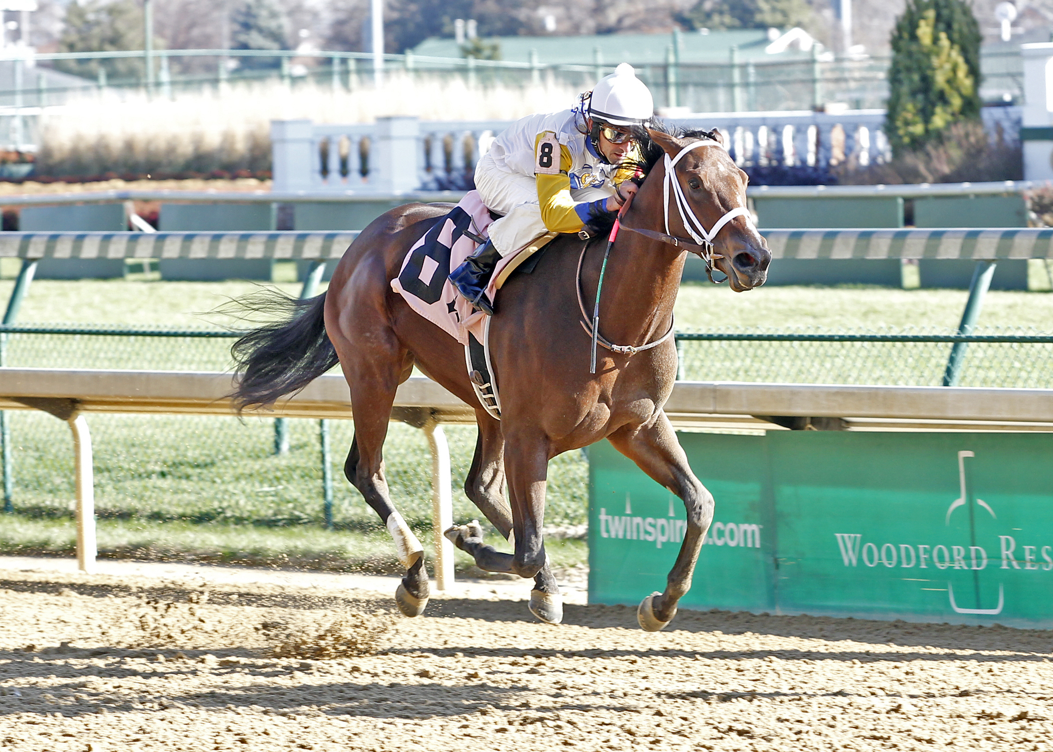 Unbridled Forever