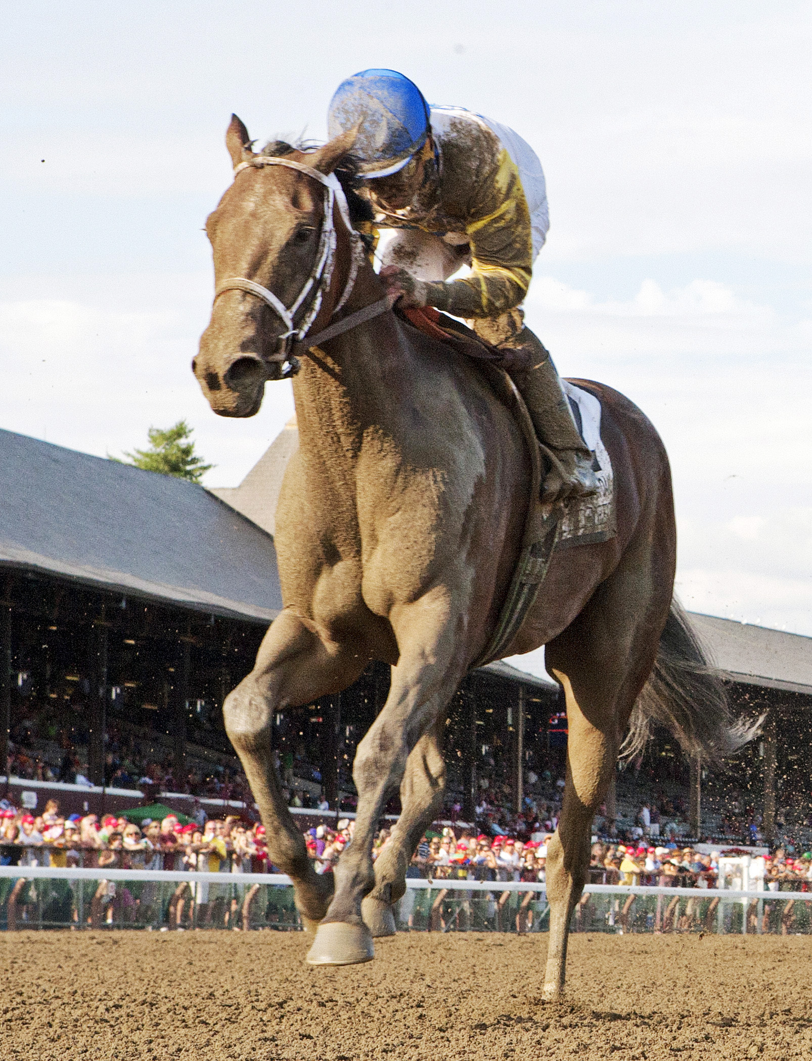 Unbridled Forever finishes second in the Coaching Club American Oaks