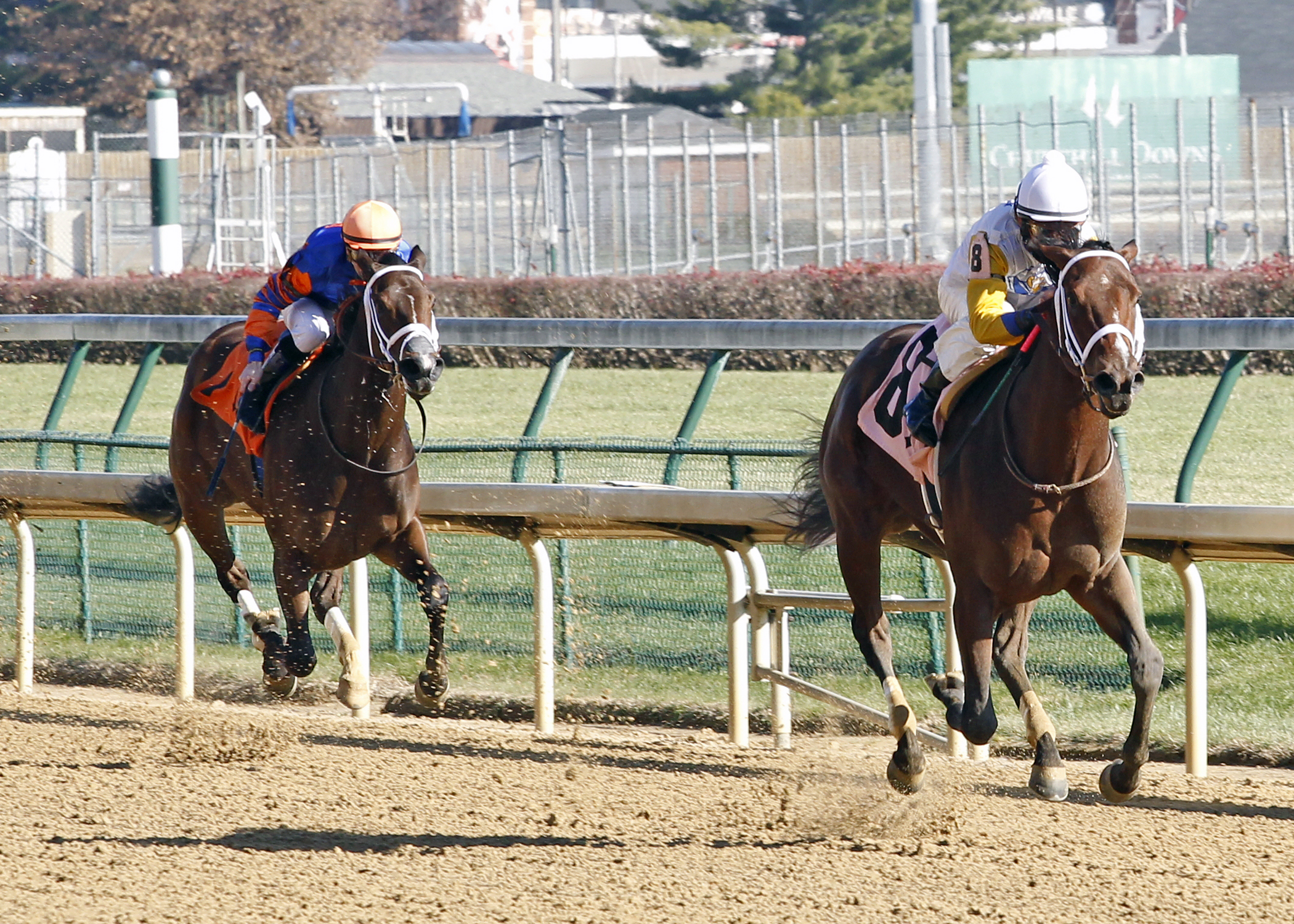 Unbridled Forever wins a maiden race
