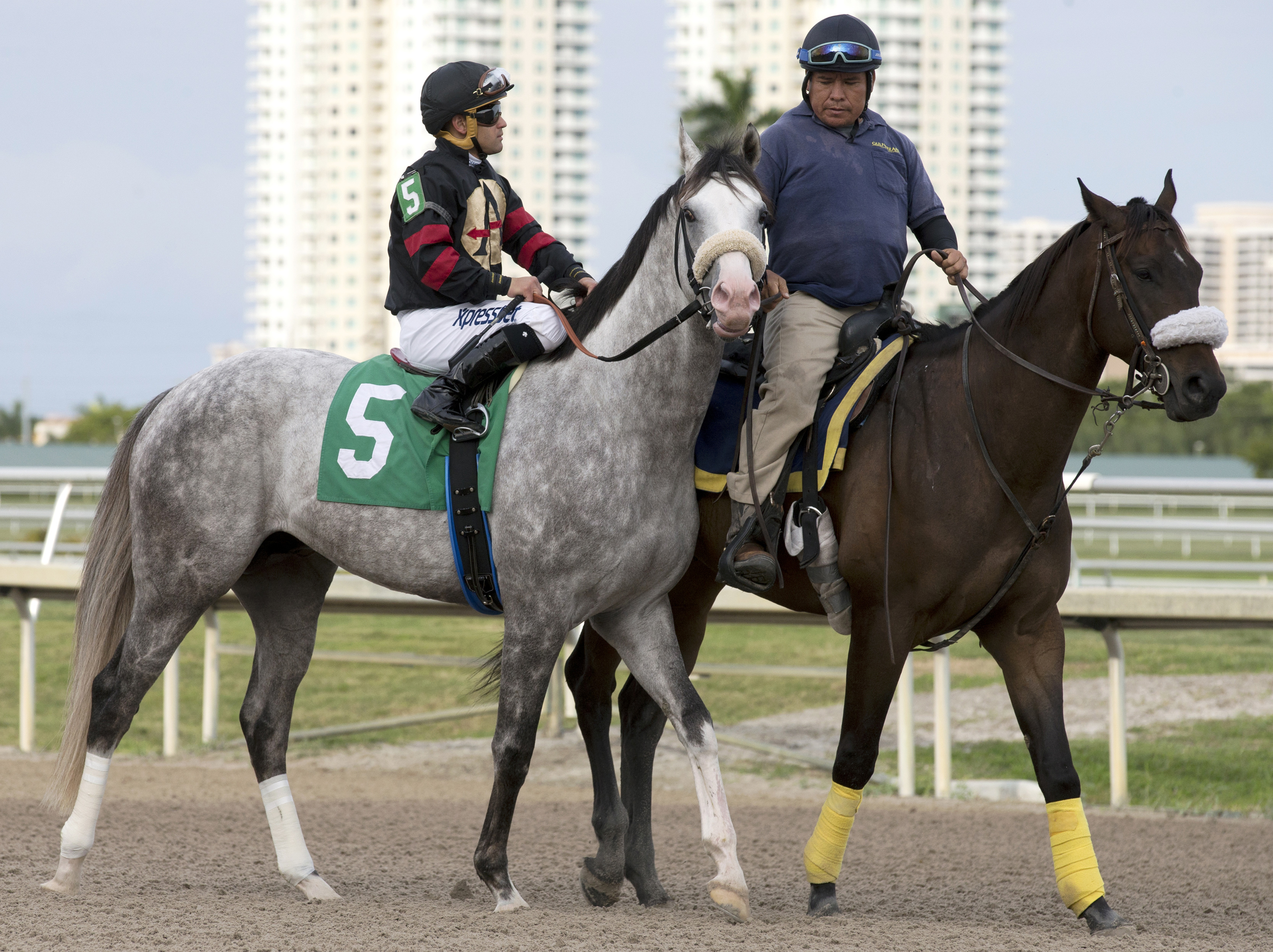 Unbridled Juan at Gulfstream Park in January