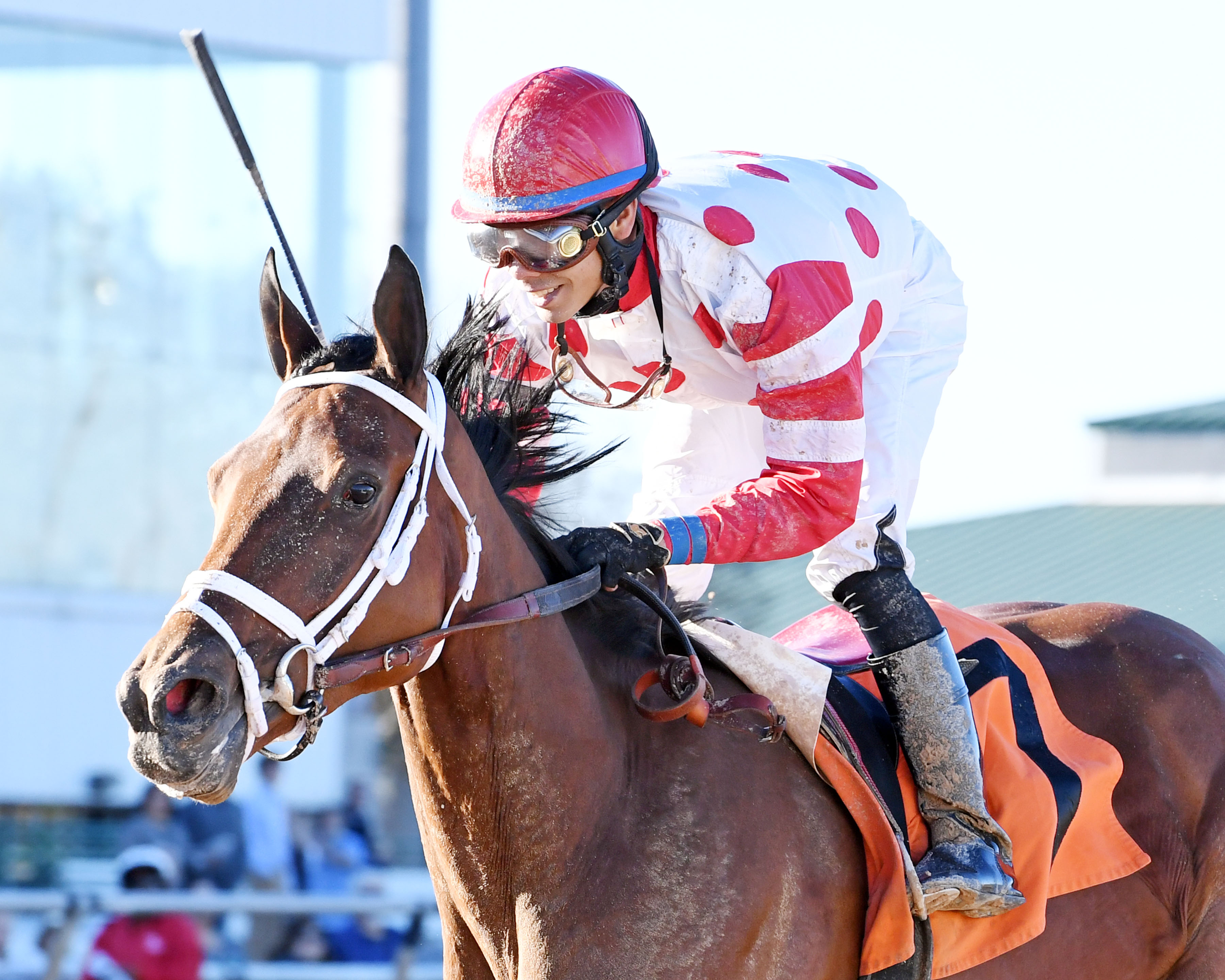 Unbridled Mo 1-29-2017