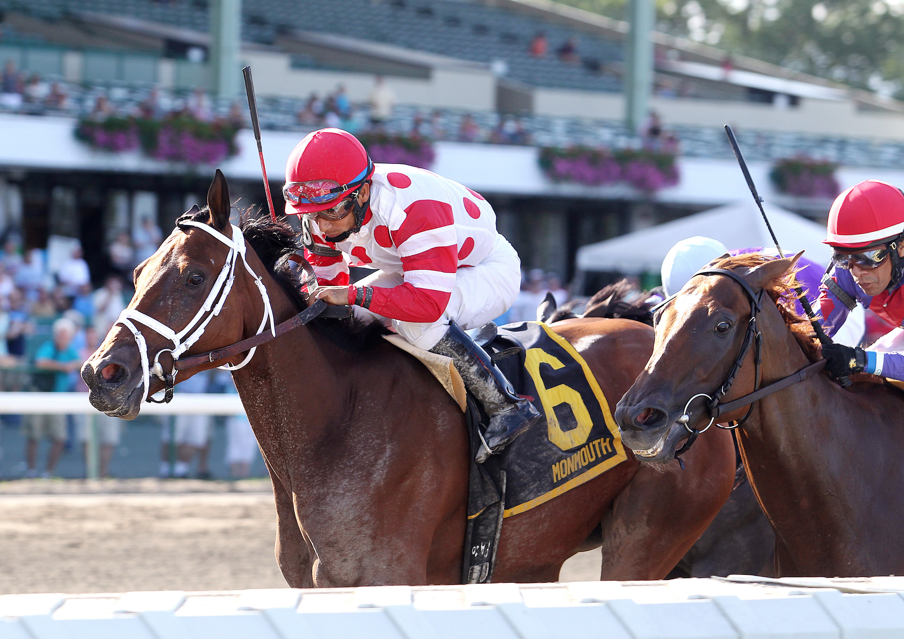 Unbridled Mo wins the Monmouth Oaks