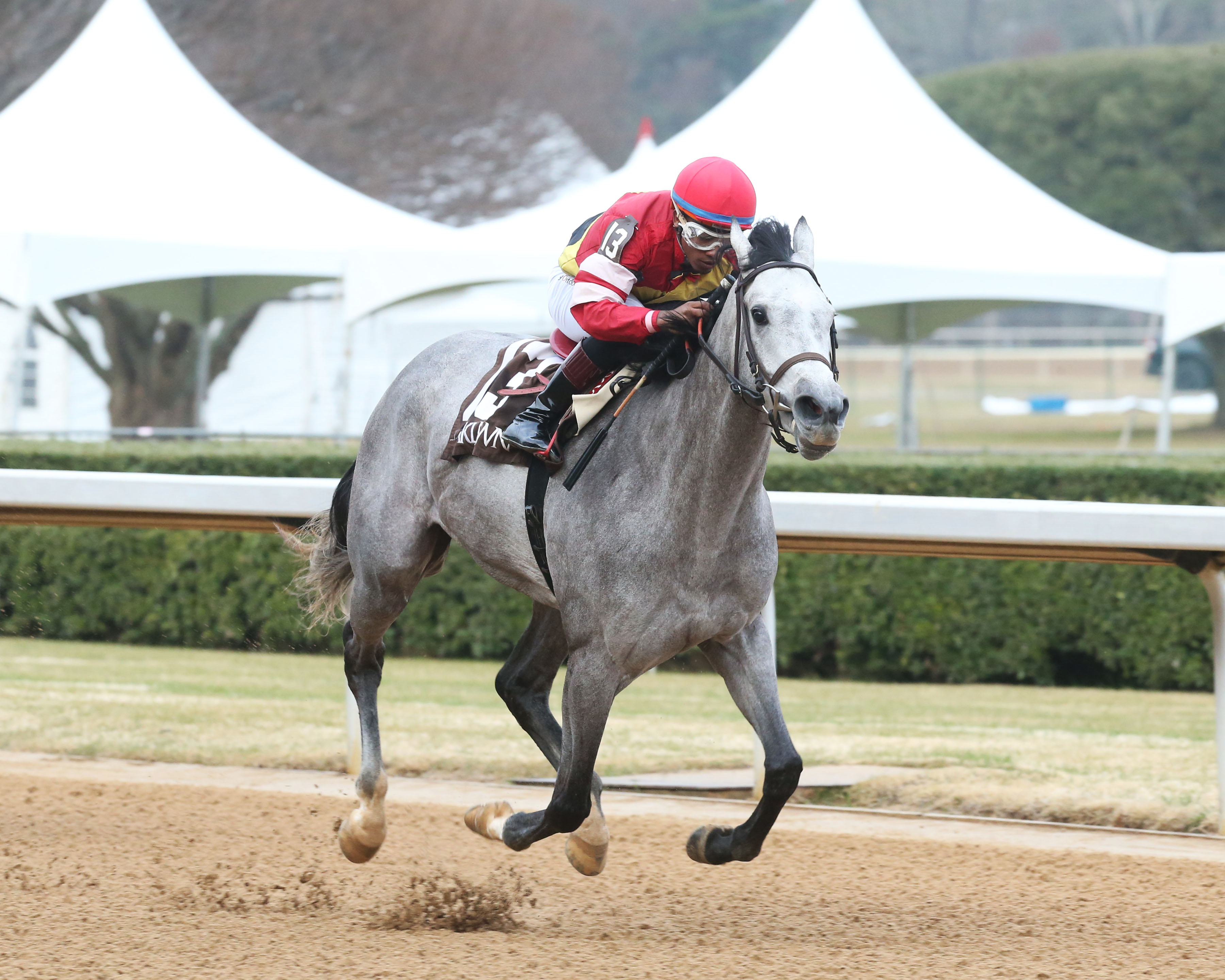 Unbridled Twister