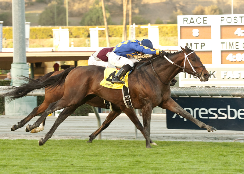 Unbridled's Note 12-28-2013