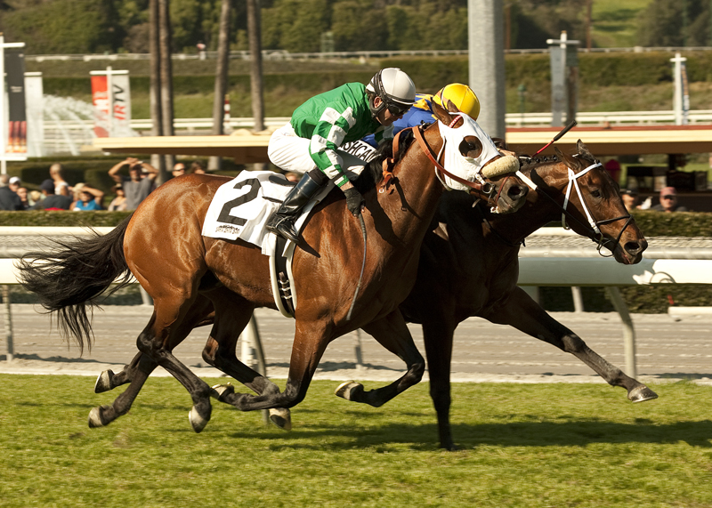 Unbridled's Note/Hernandez