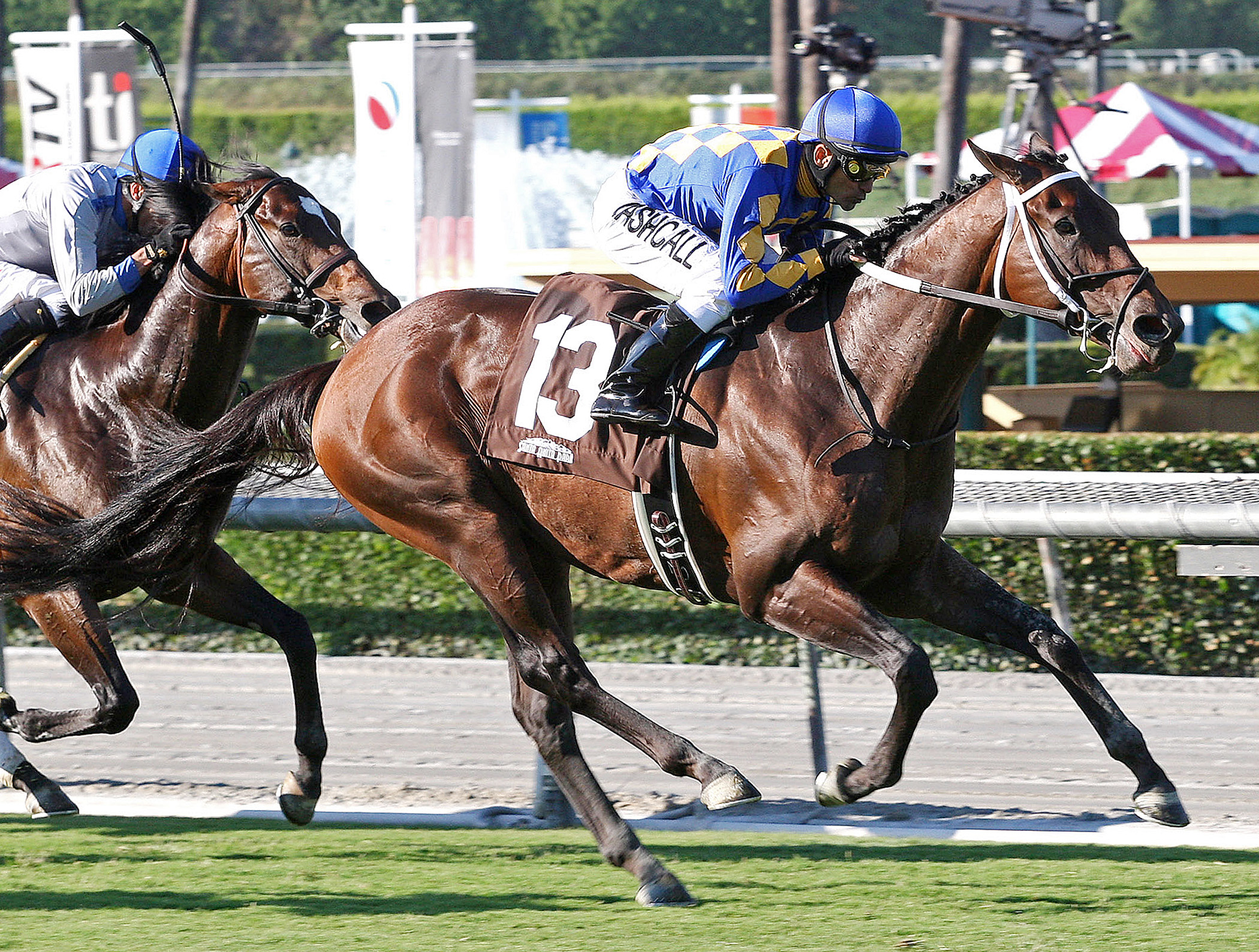 Unbridled's Note, Eddie D Stakes