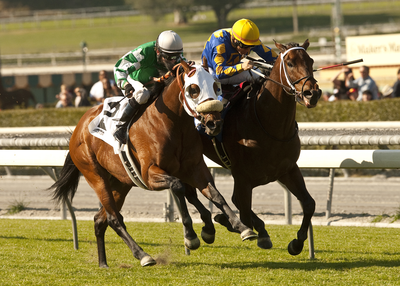 Unbridled's Note wins the Joe Hernandez Handicap