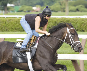 Unbridled Belle