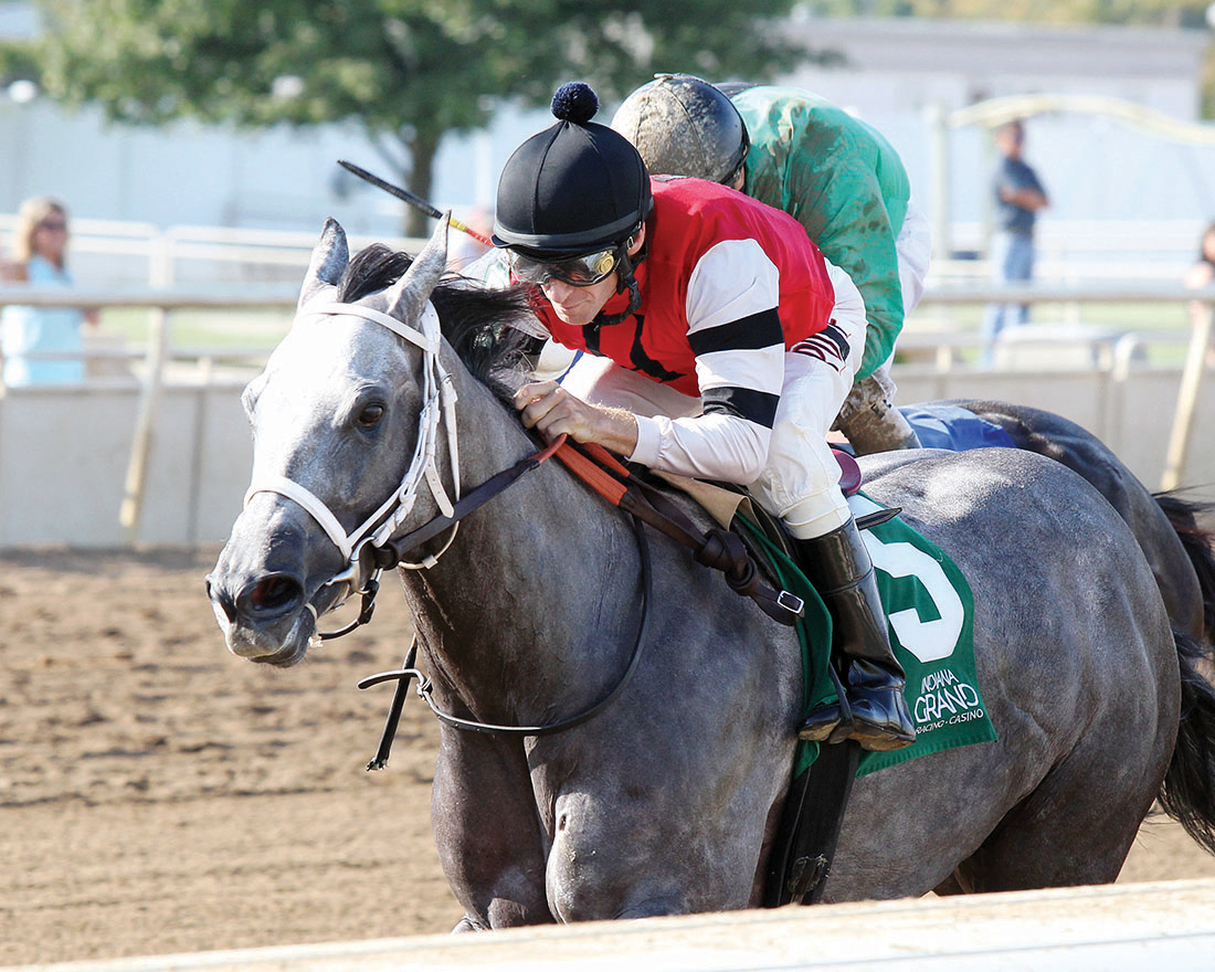 Unbridled Class wins the 2019 Merrillville Stakes at Indiana Grand