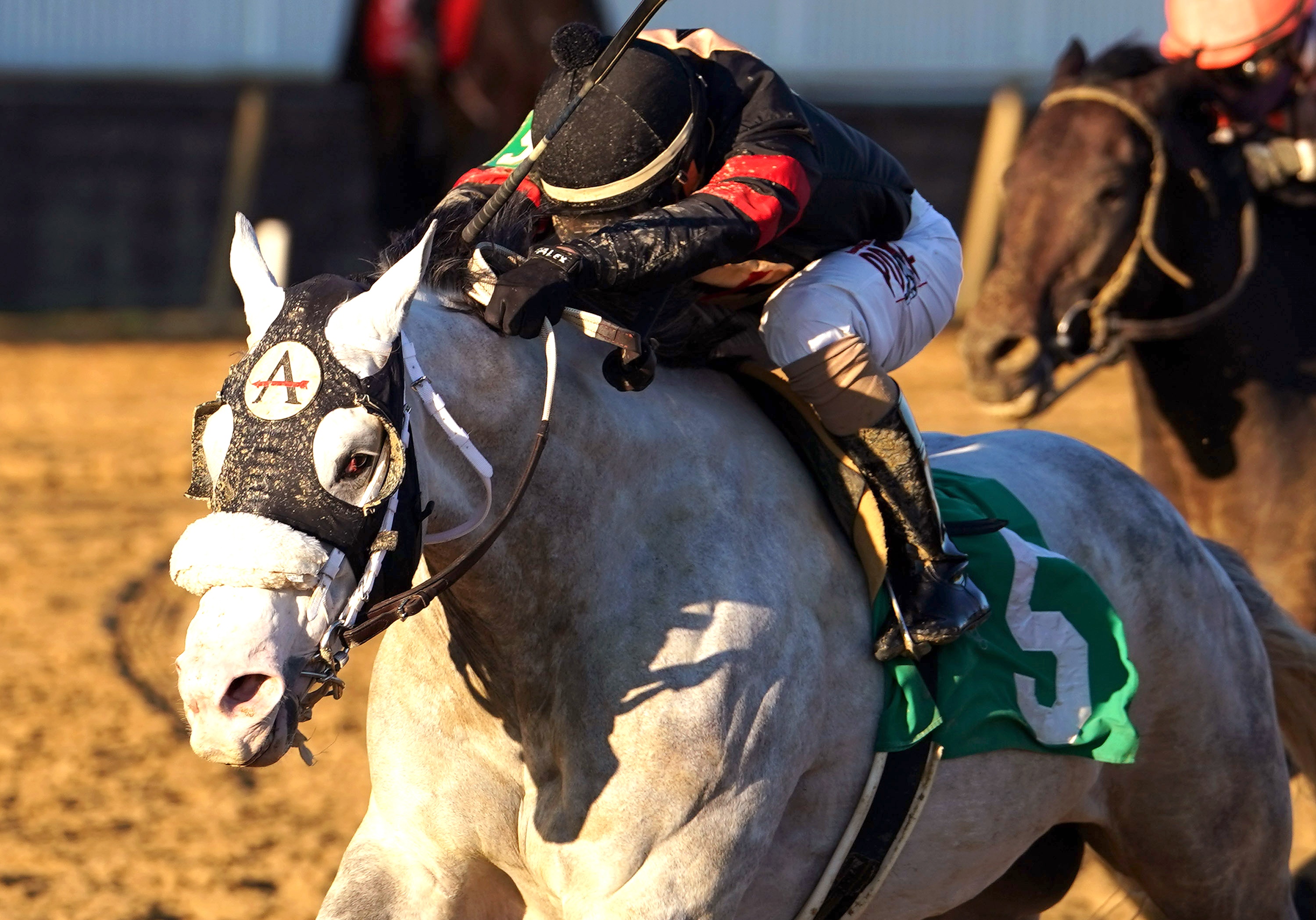 Unbridled Juan wins 2018 Richard W. Small Stakes