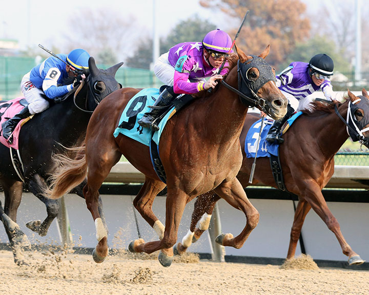 Uncapped wins a November 2018 maiden race at Churchill Downs