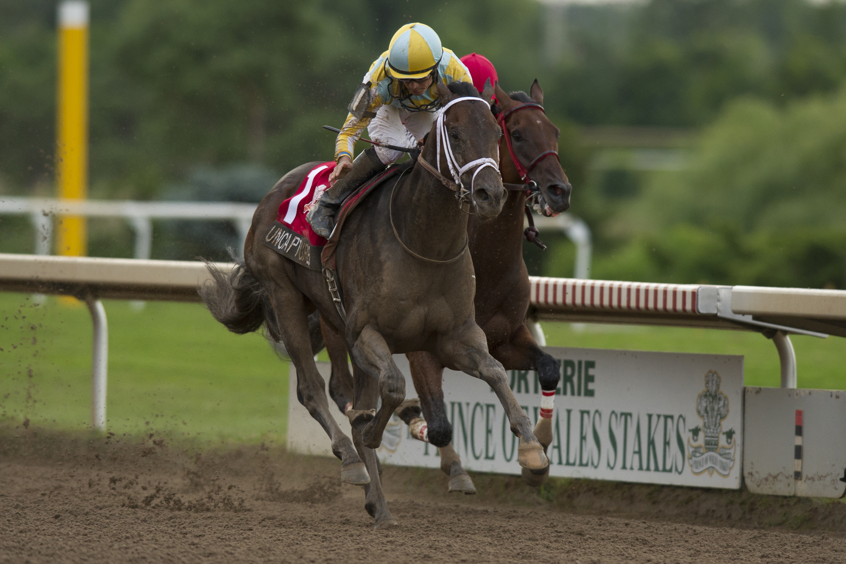 Uncaptured, Prince of Wales Stakes