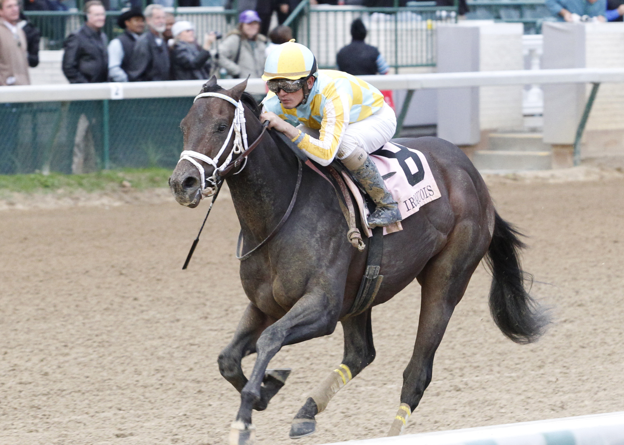 Churchill Downs: Large, deep field squares off in Kentucky Jockey Club Stakes