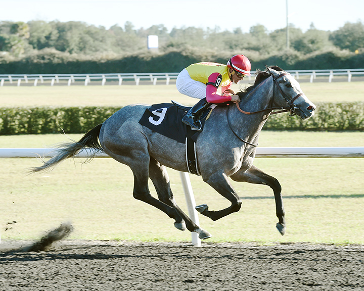 Uncle B wins the 2017 OBS Sprint Stakes