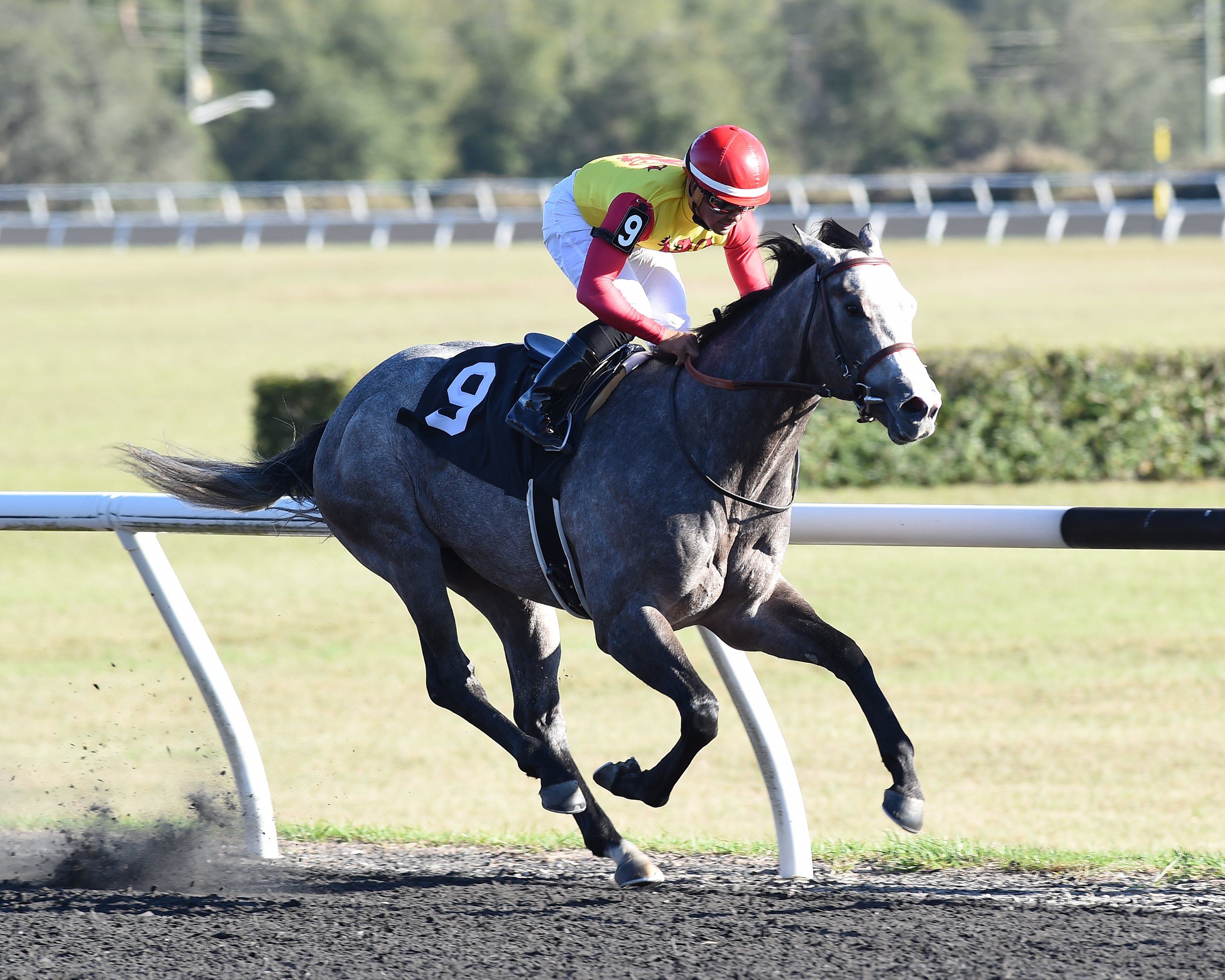Uncle B wins the OBS Sprint Stakes