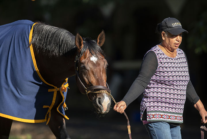 Uncle Benny at Saratoga Race Course in July 2019