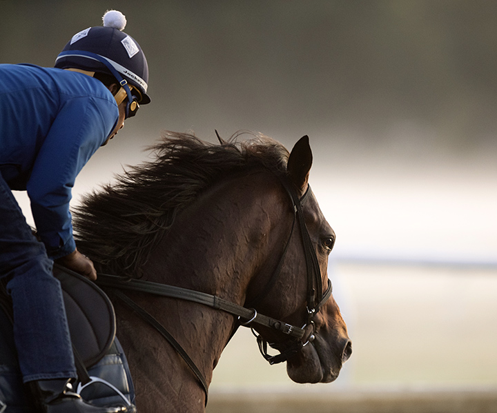 Uncle Benny trains at Saratoga Race Course on Aug. 26