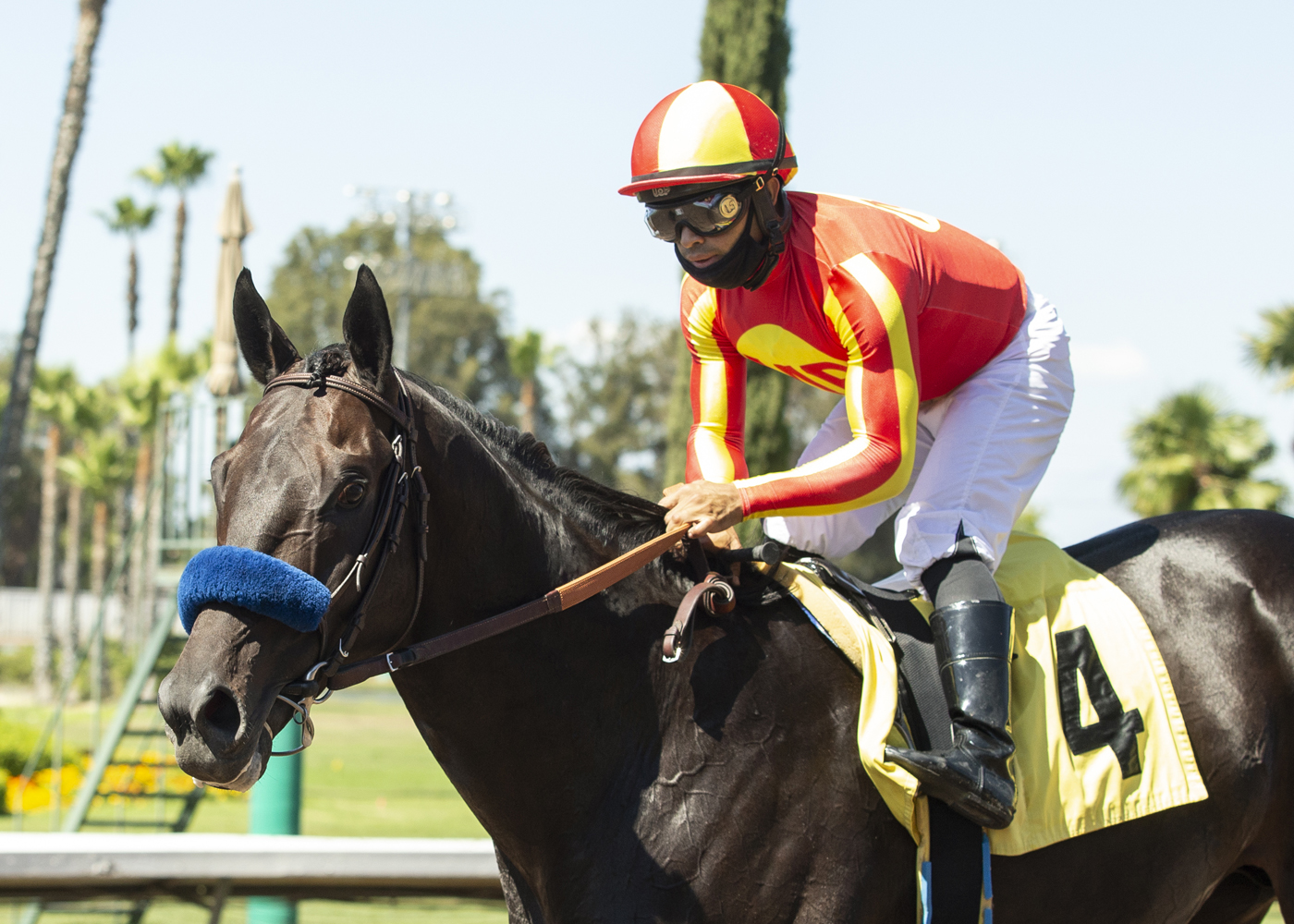 Uncle Chuck/Los Alamitos Derby