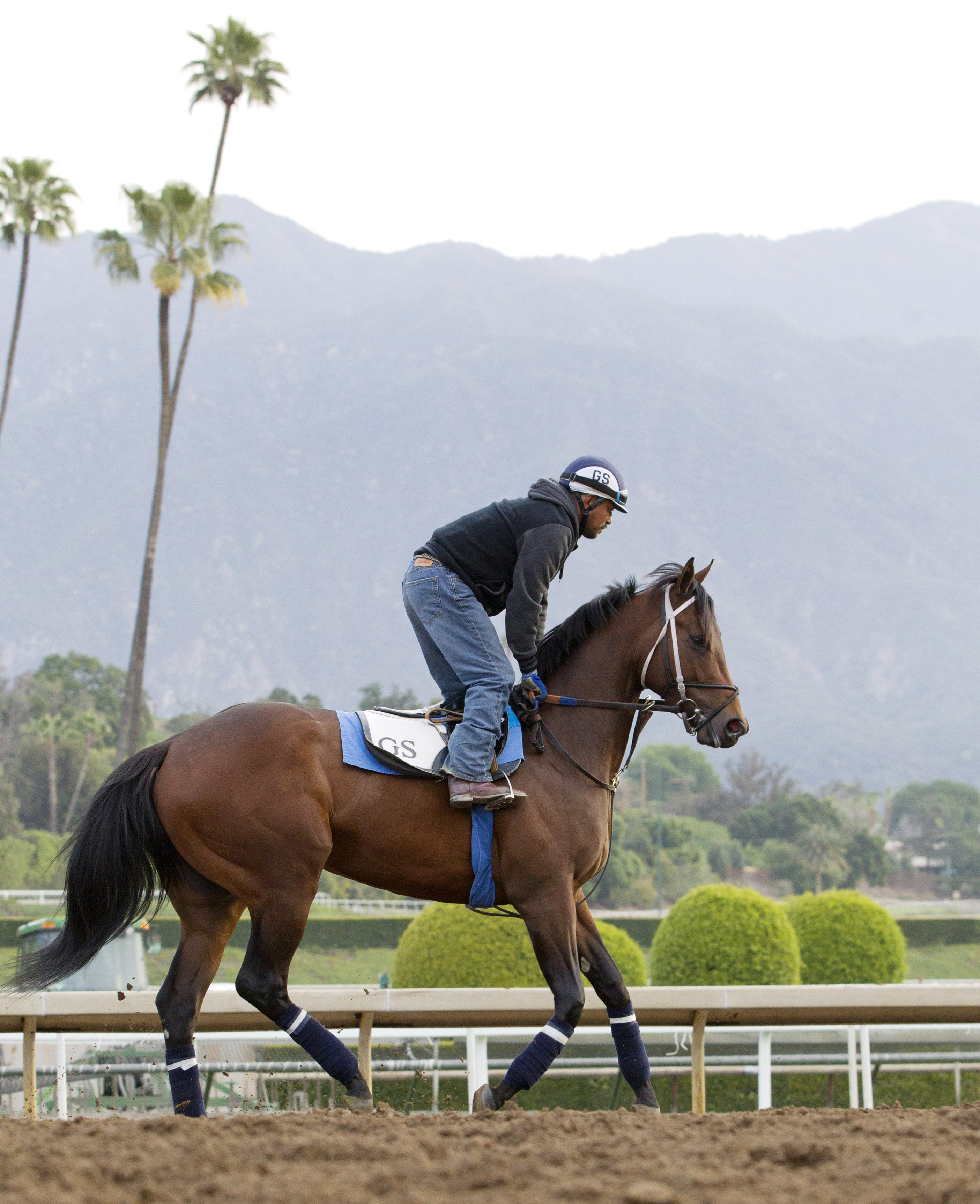 Uncle Lino at Santa Anita Park on March 11