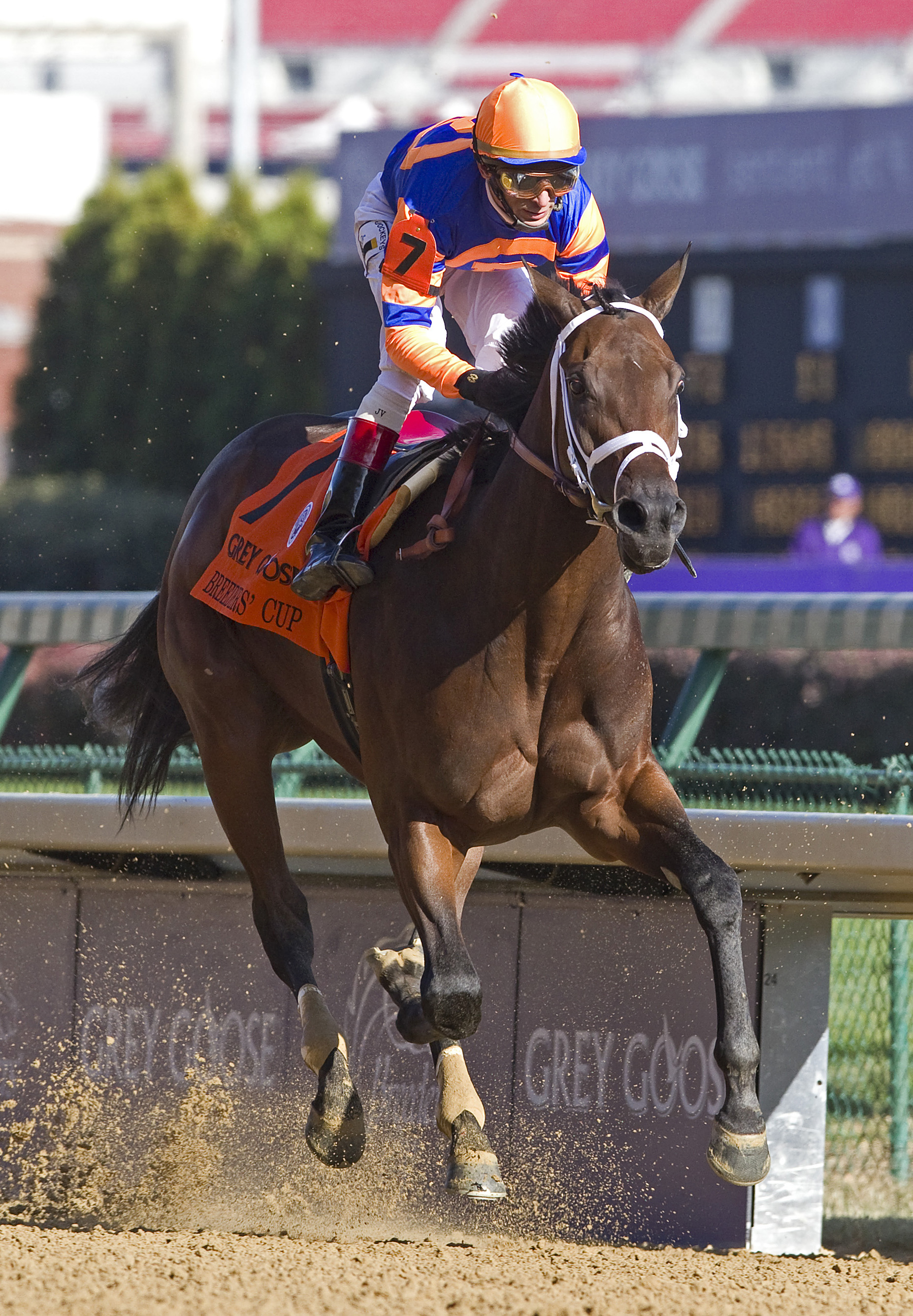 Uncle Mo arrives at Palm Meadows to begin Derby push
