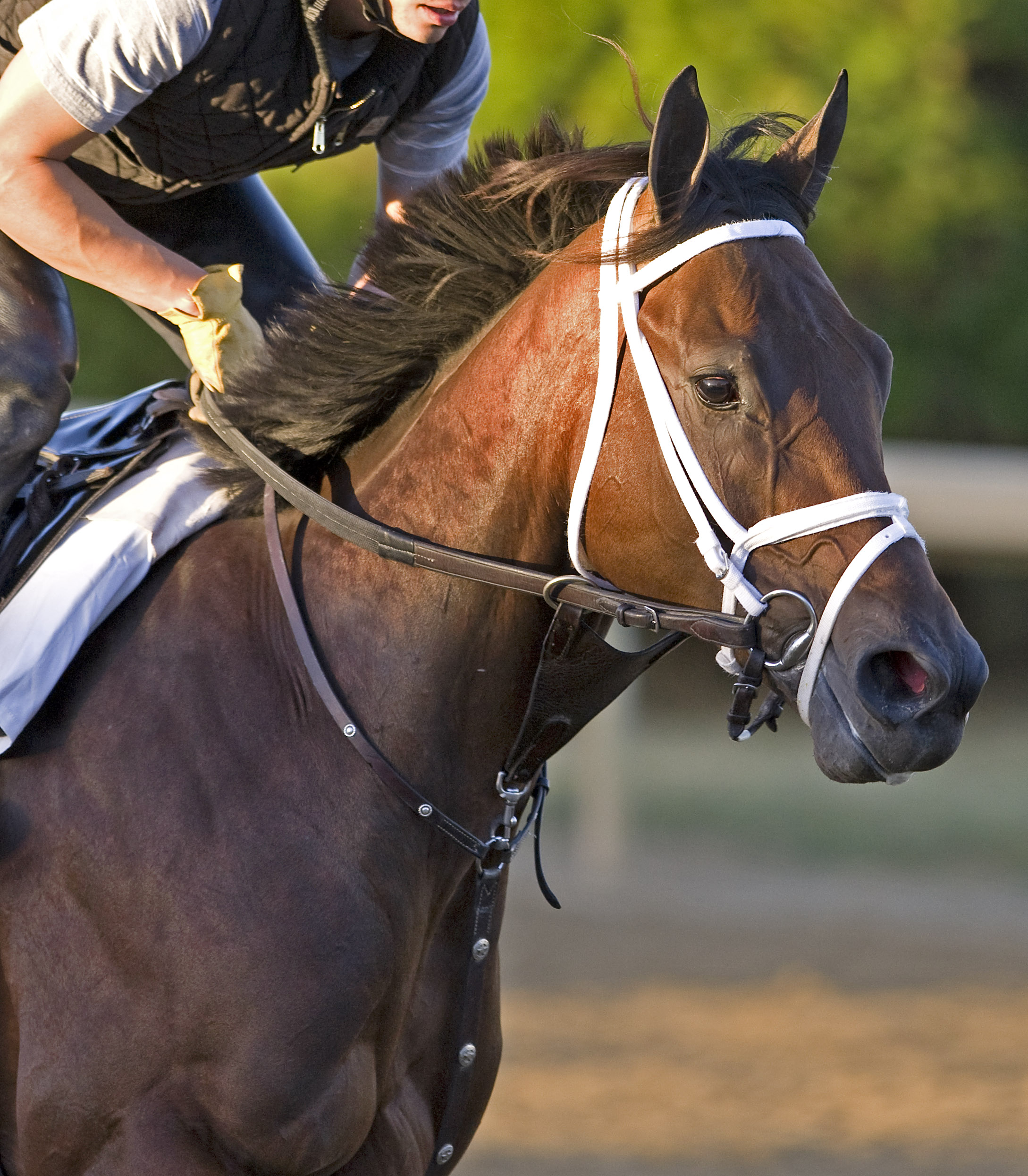 Uncle Mo, October 2010