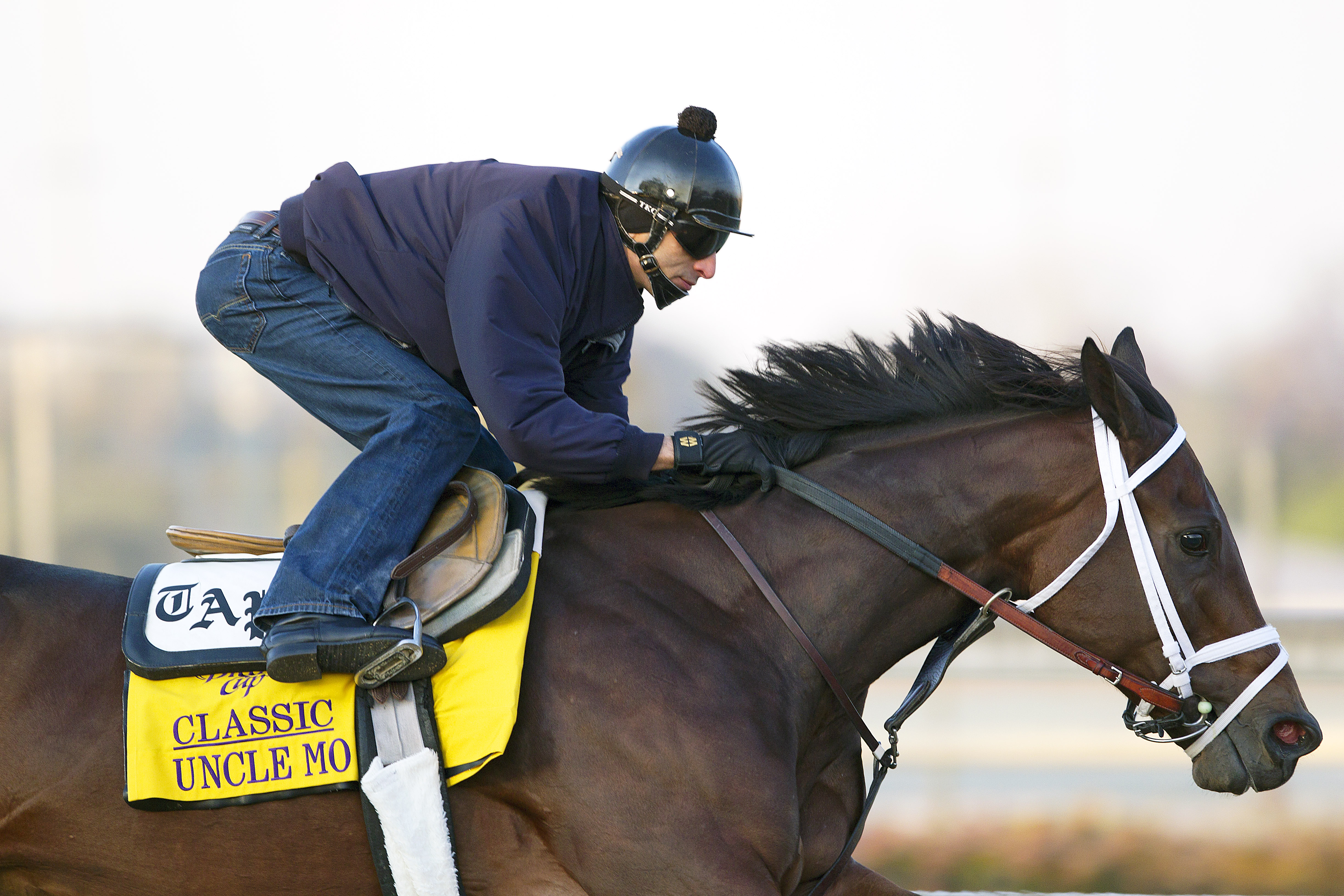 Uncle Mo trains for Breeders' Cup Classic