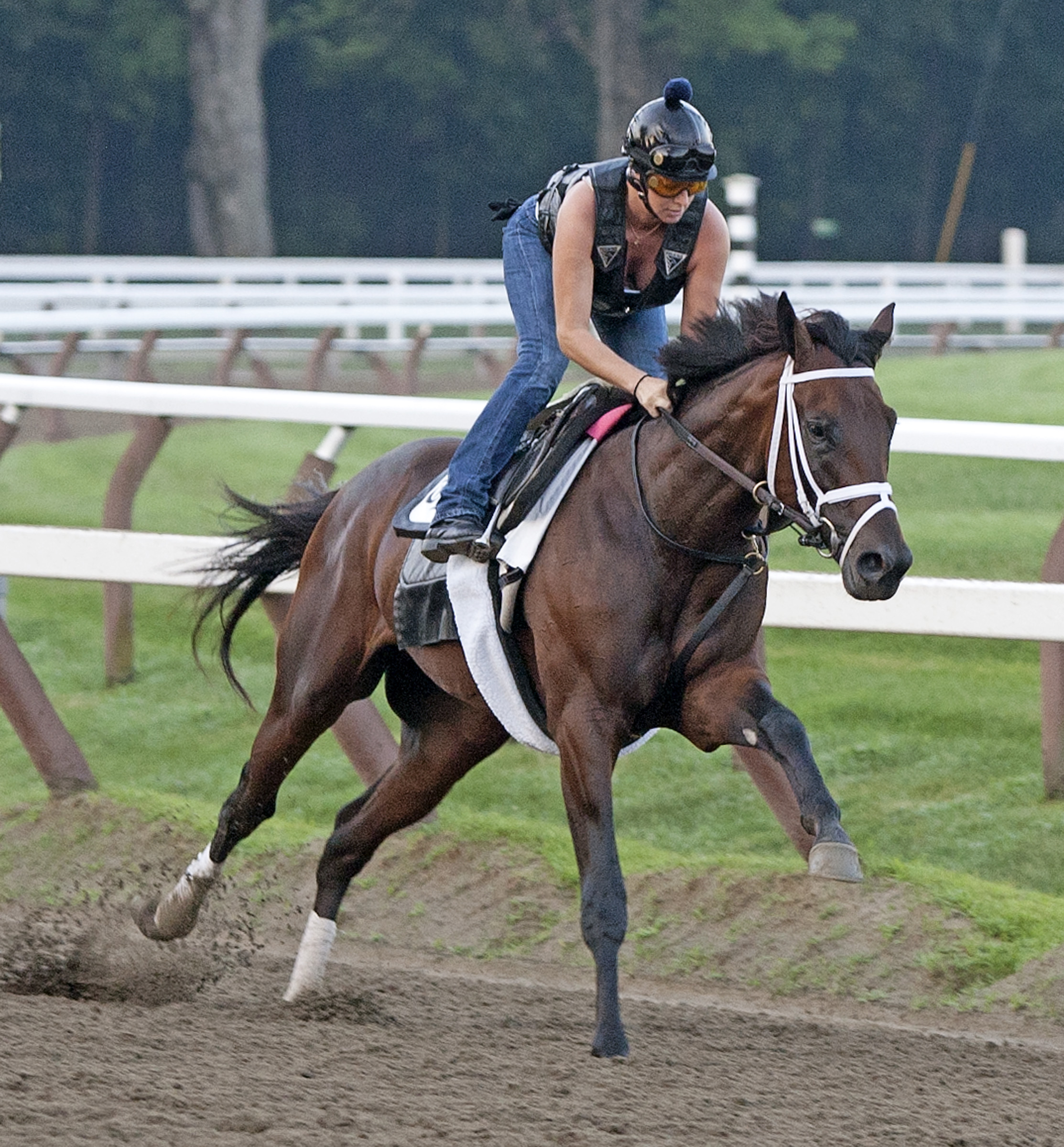 Uncle Mo, 7-22-2011, Saratoga