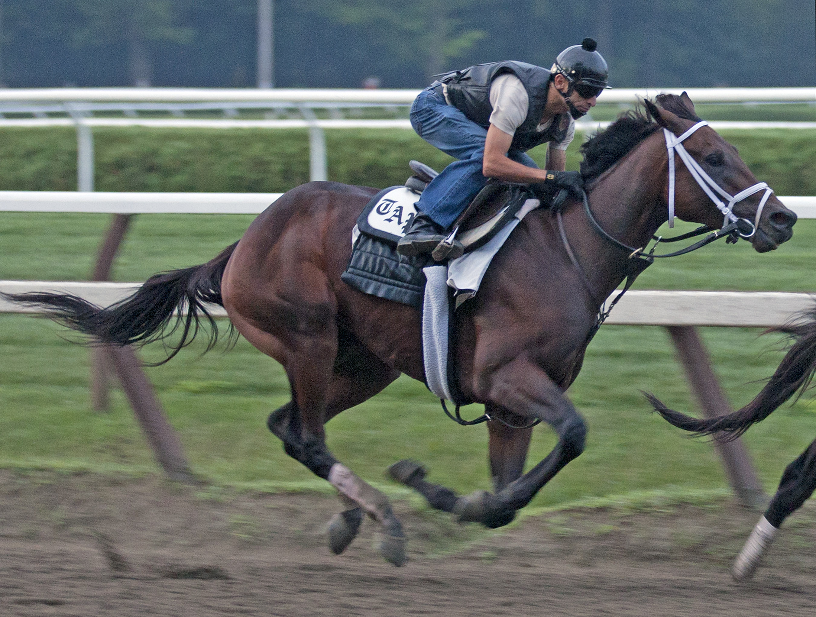 Uncle Mo 8-21-2011