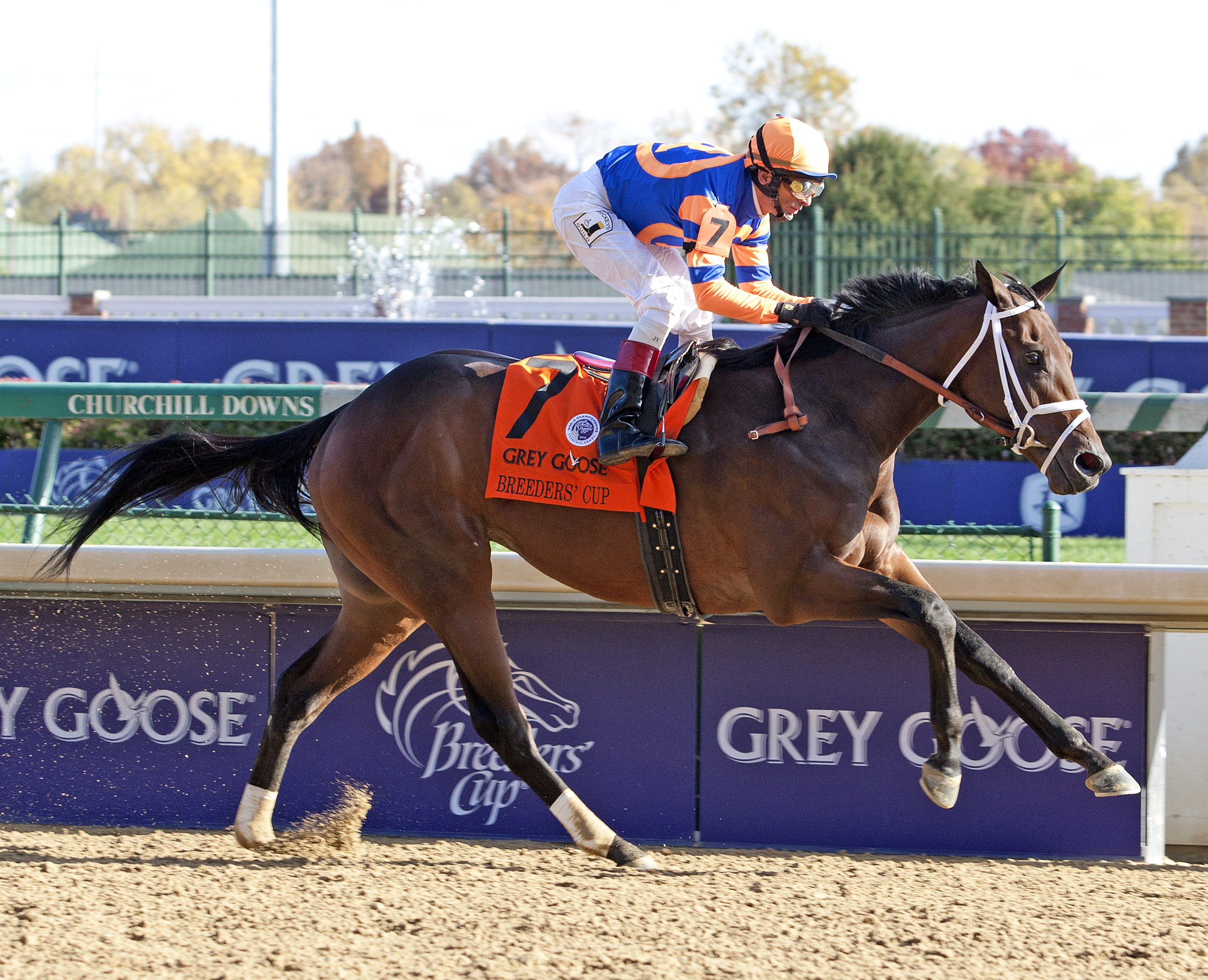 Uncle Mo/BC Juvenile