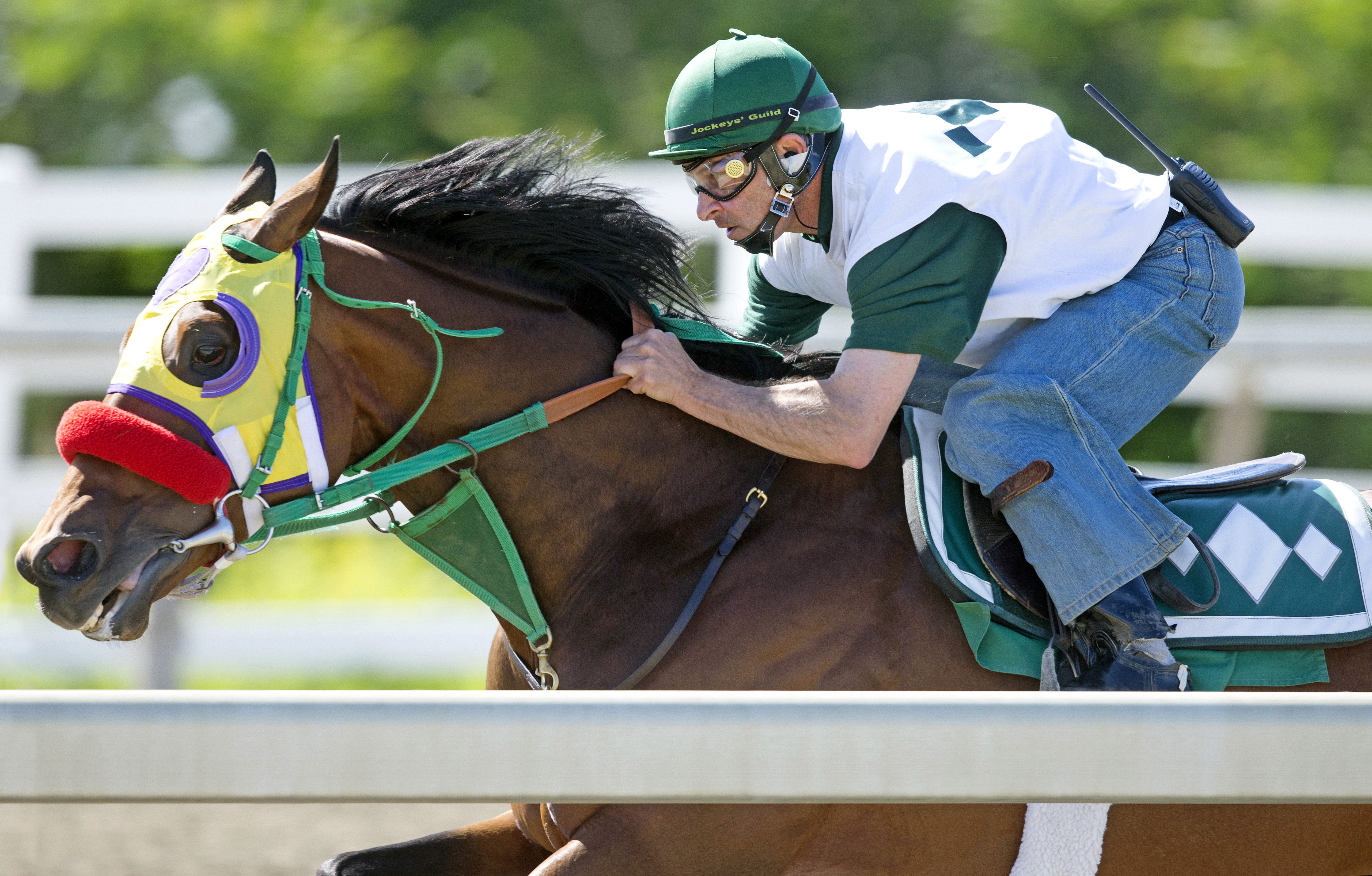 Uncle Sigh trains at Belmont on June 1