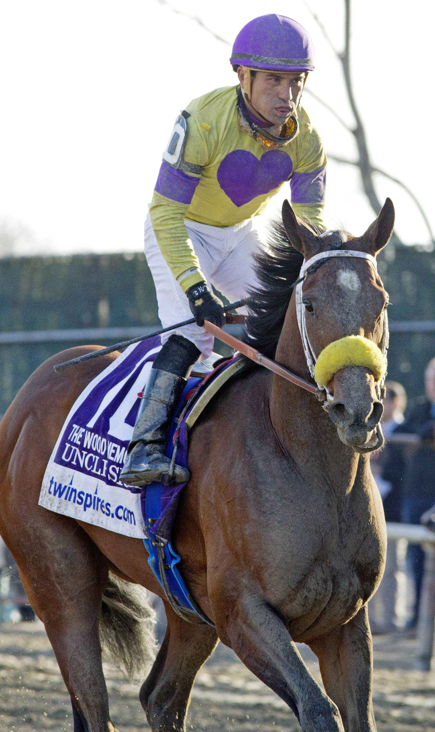Uncle Sigh finishes fifth in the Wood Memorial