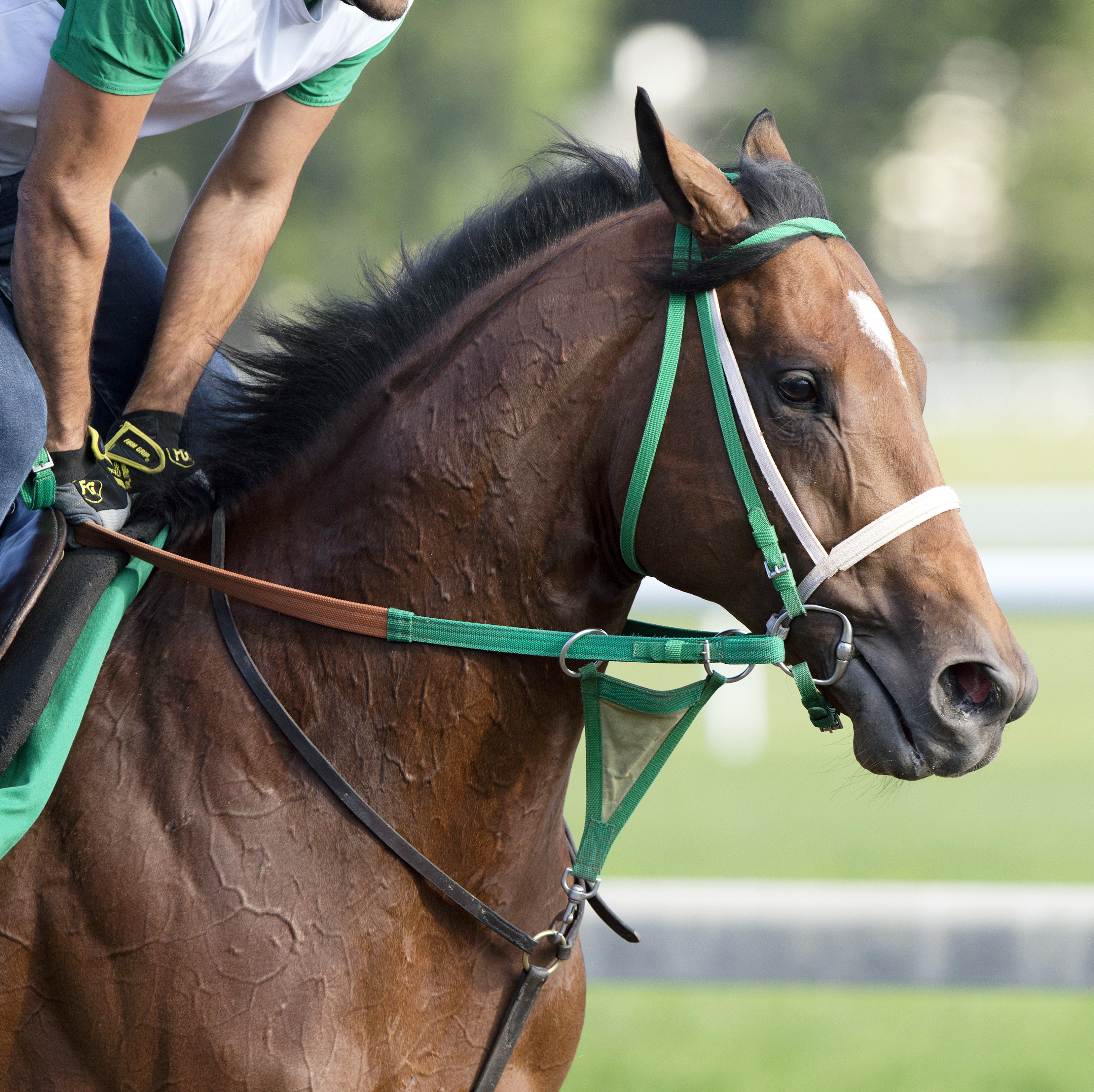 Uncle Sigh at Saratoga on July 24