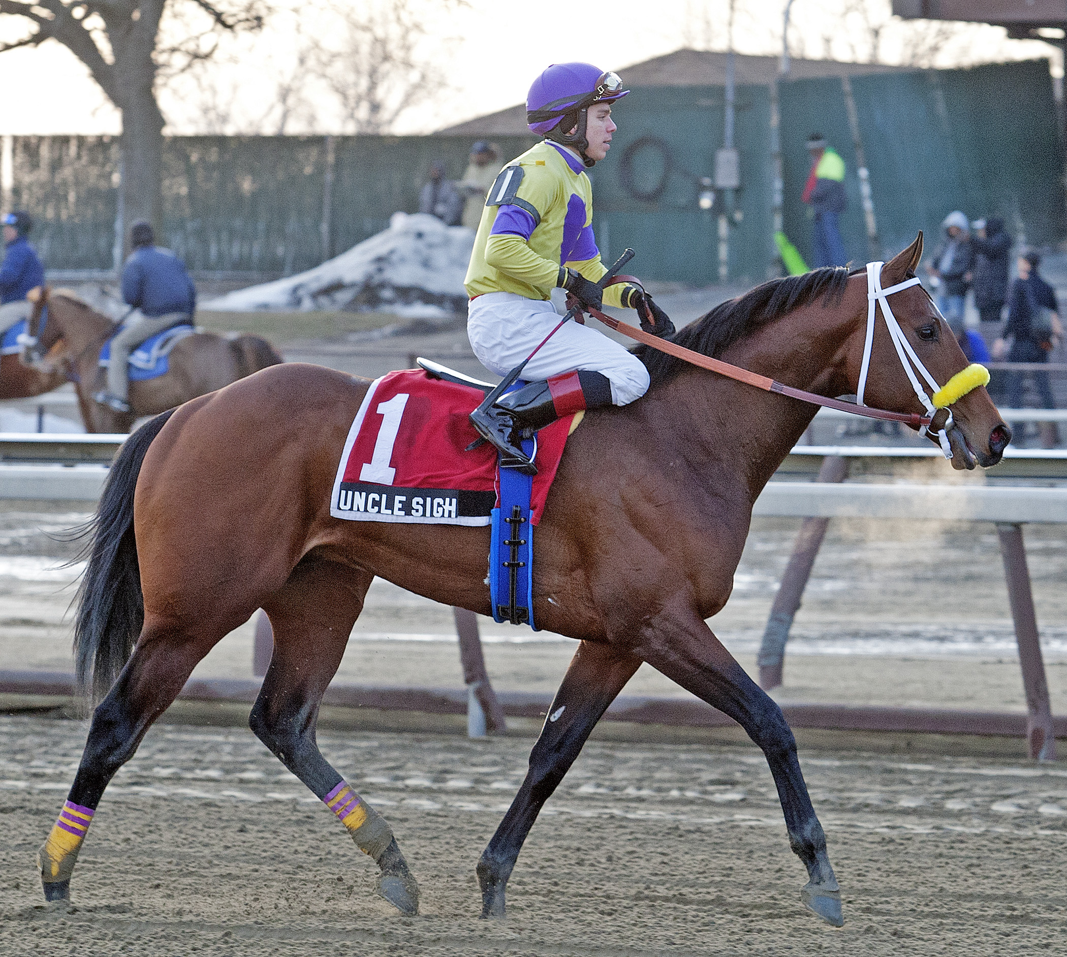 Uncle Sigh at the Withers