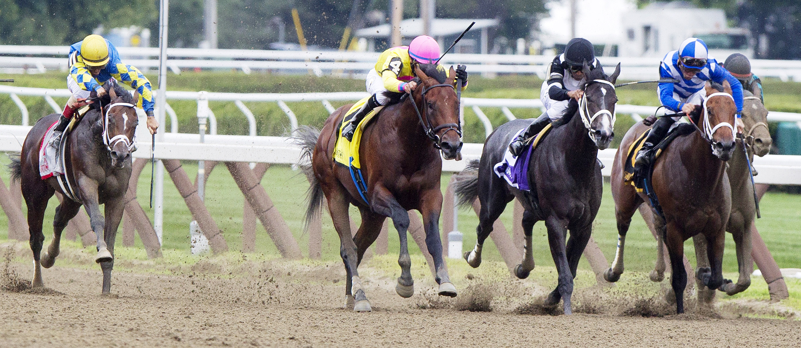 Uncle Vinny and Magna Light in the Sanford Stakes