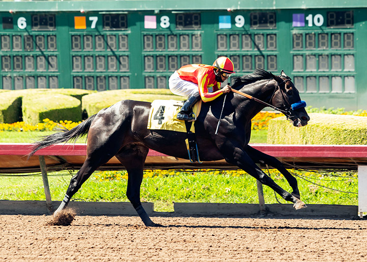 Uncle Chuck wins the Los Alamitos Derby at Los Alamitos Race Course