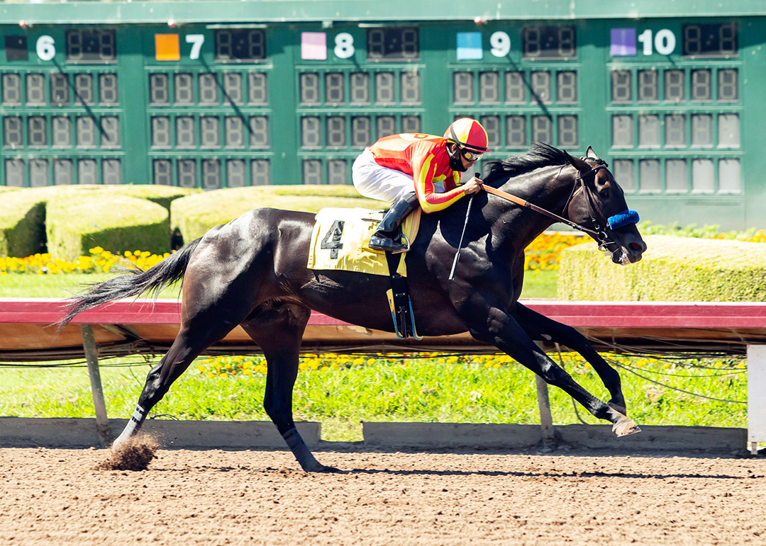 Uncle Chuck wins the Los Alamitos Derby at Los Alamitos Race Course